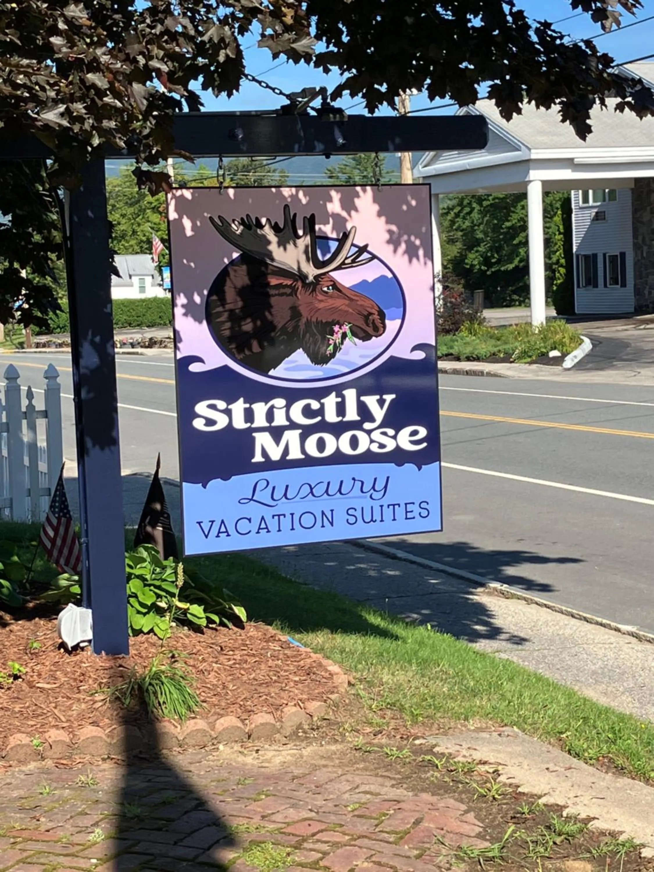 Strictly Moose Luxury Vacation Suites