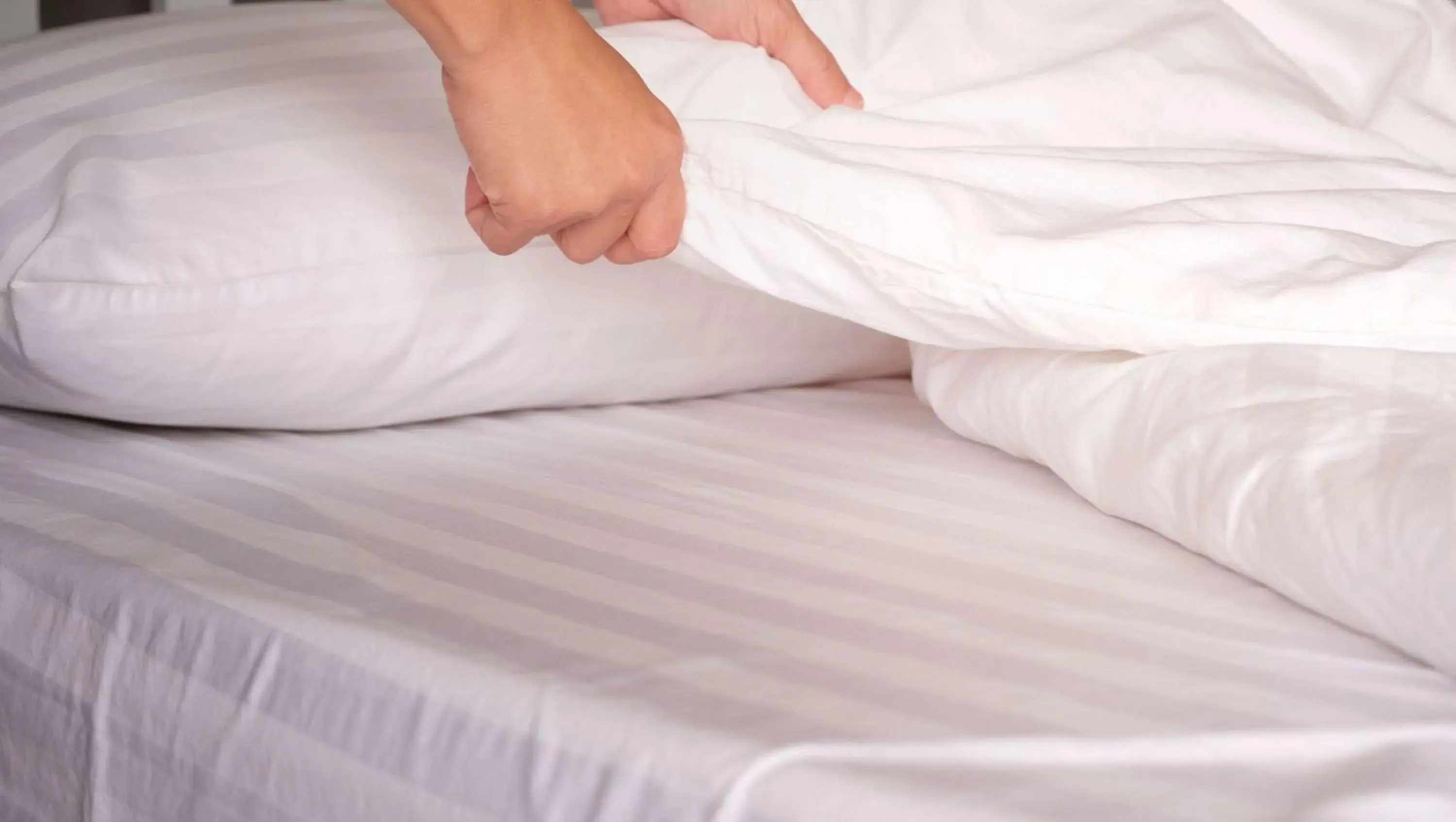 Photo of the whole room, Bed in M Star Columbus North Photo of the whole room, Bed in M Star Columbus North