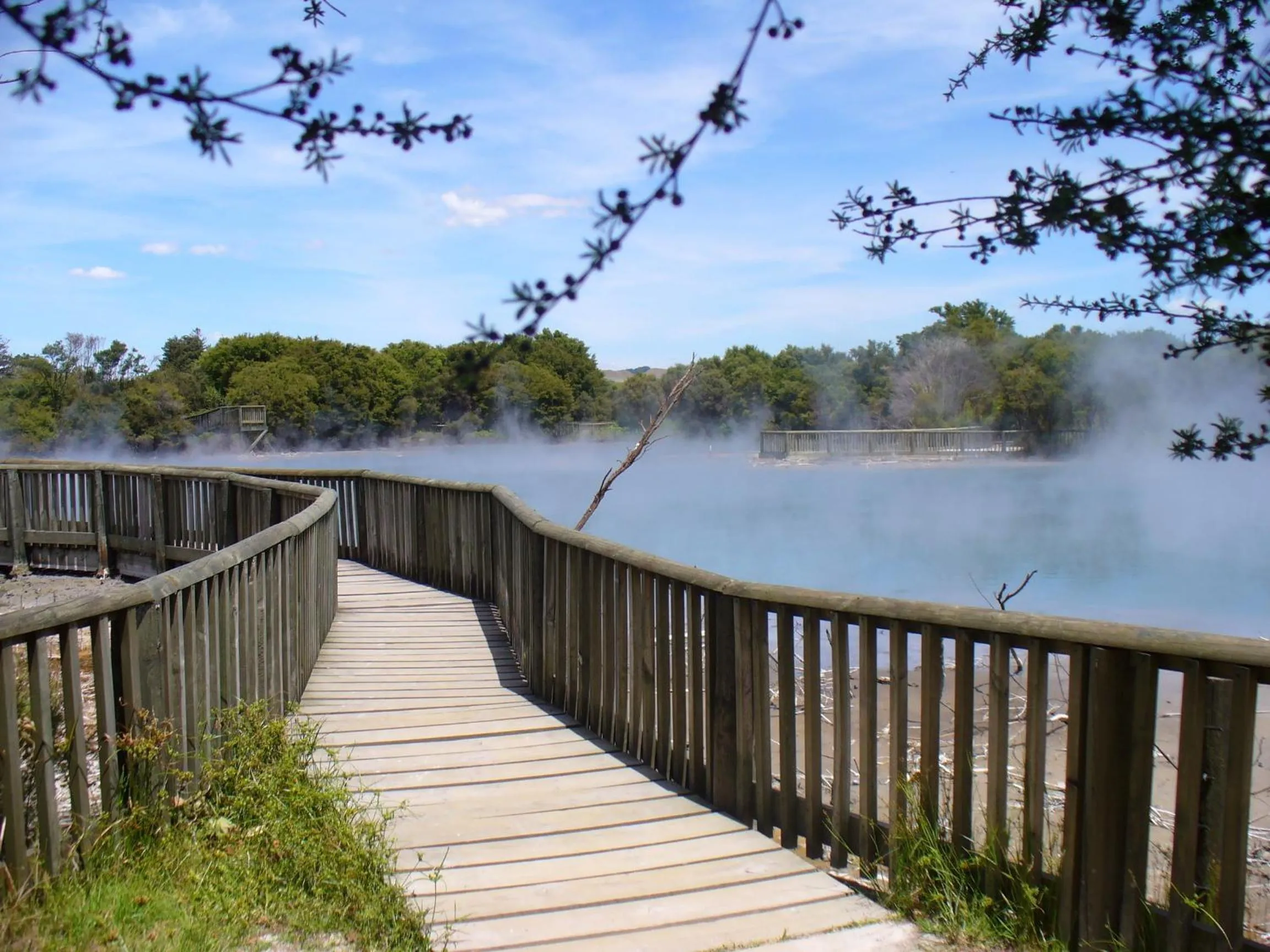 Natural landscape in Kuirau Park Motor Lodge- Thermal Mineral pool