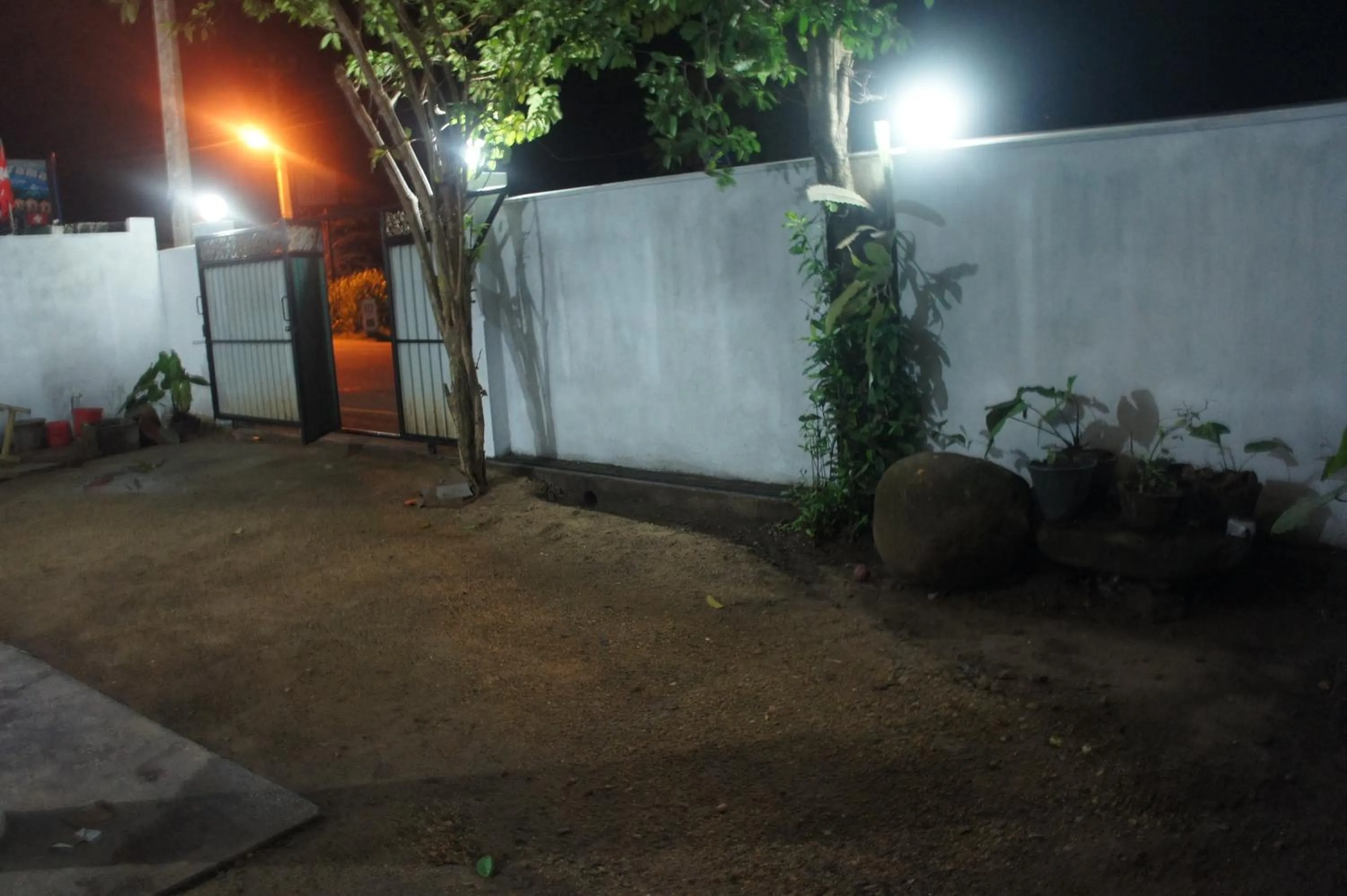 Garden in Sam's Guest House