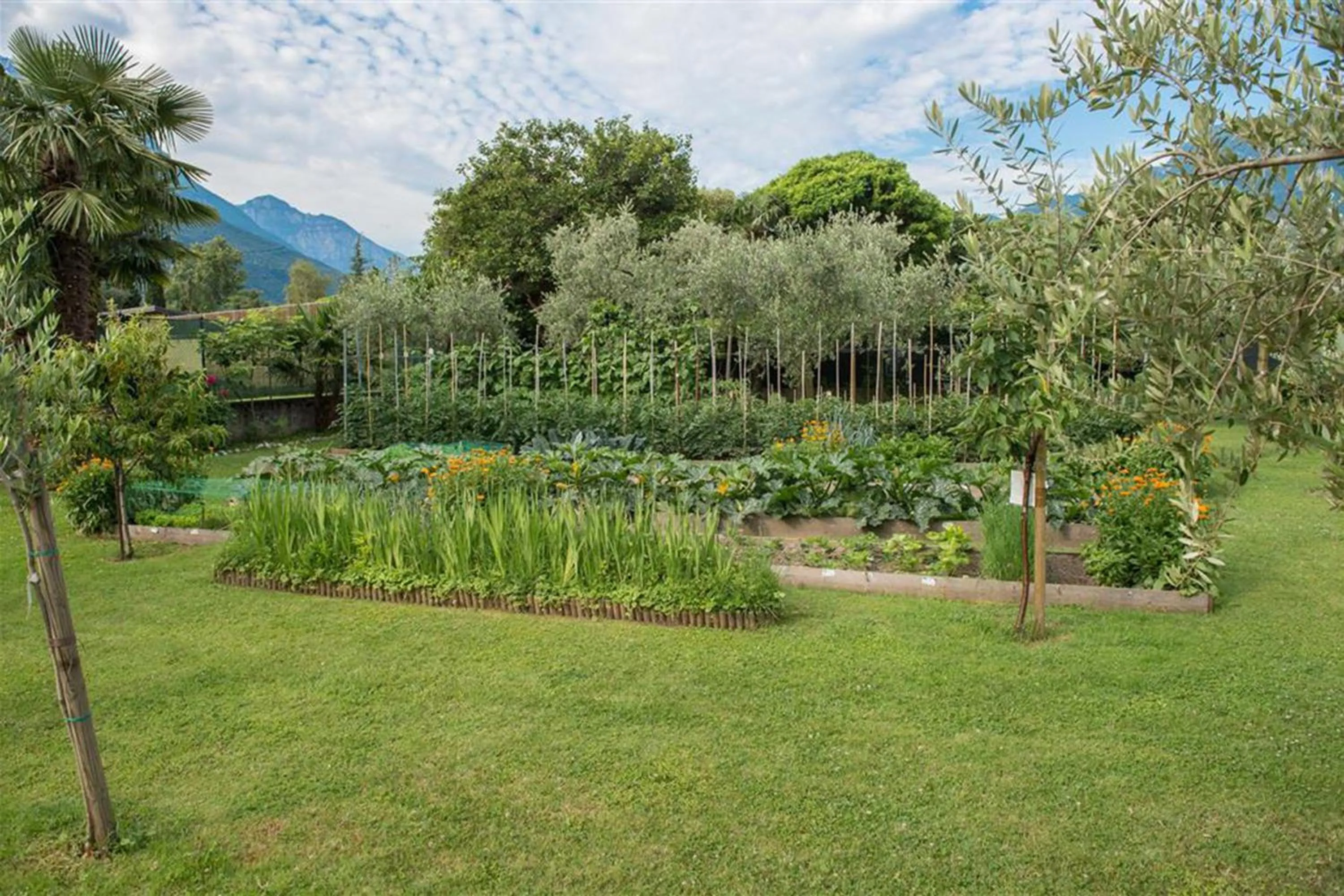 Garden in Bike & Wind Hotel Villa Maria