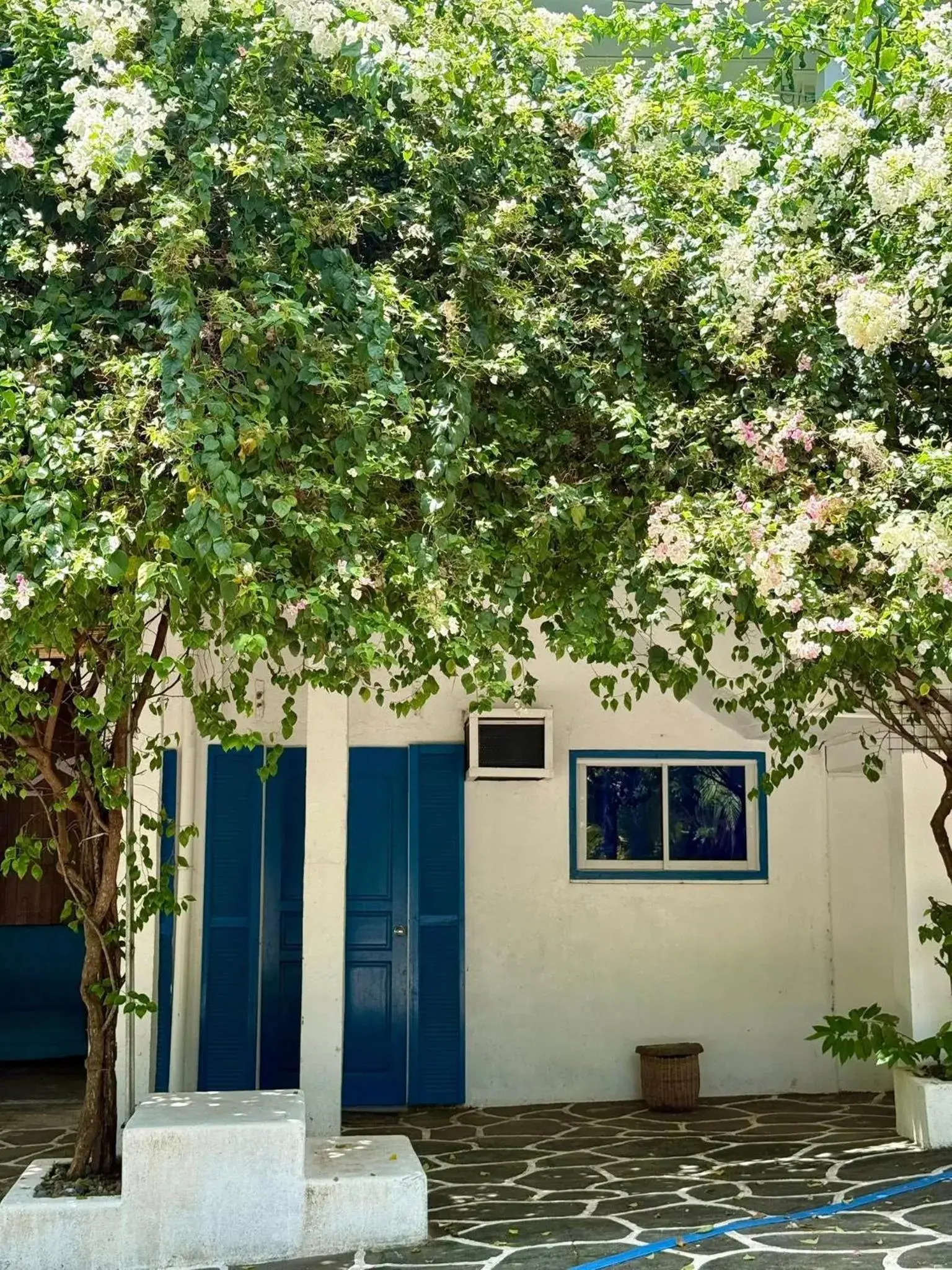 Garden view in Chalaroste Place by SMS Hospitality Garden view in Chalaroste Place by SMS Hospitality