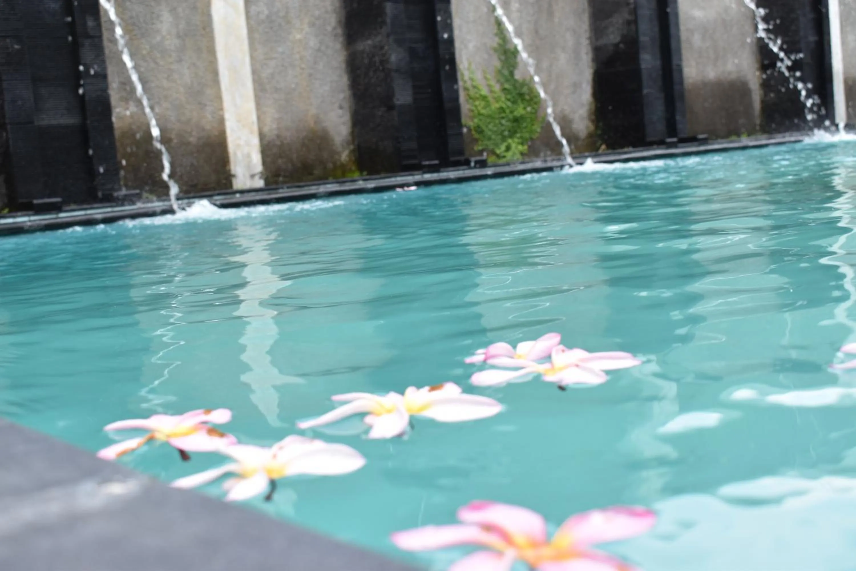 D Ajenk Boutique Guesthouse