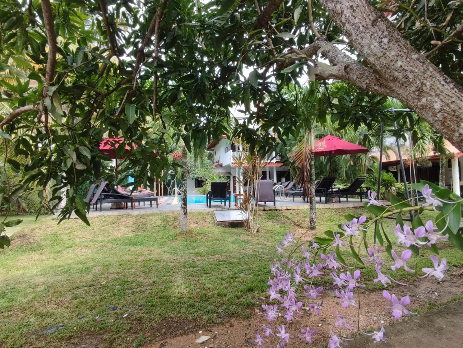 Garden view in Weligama Ocean Breeze