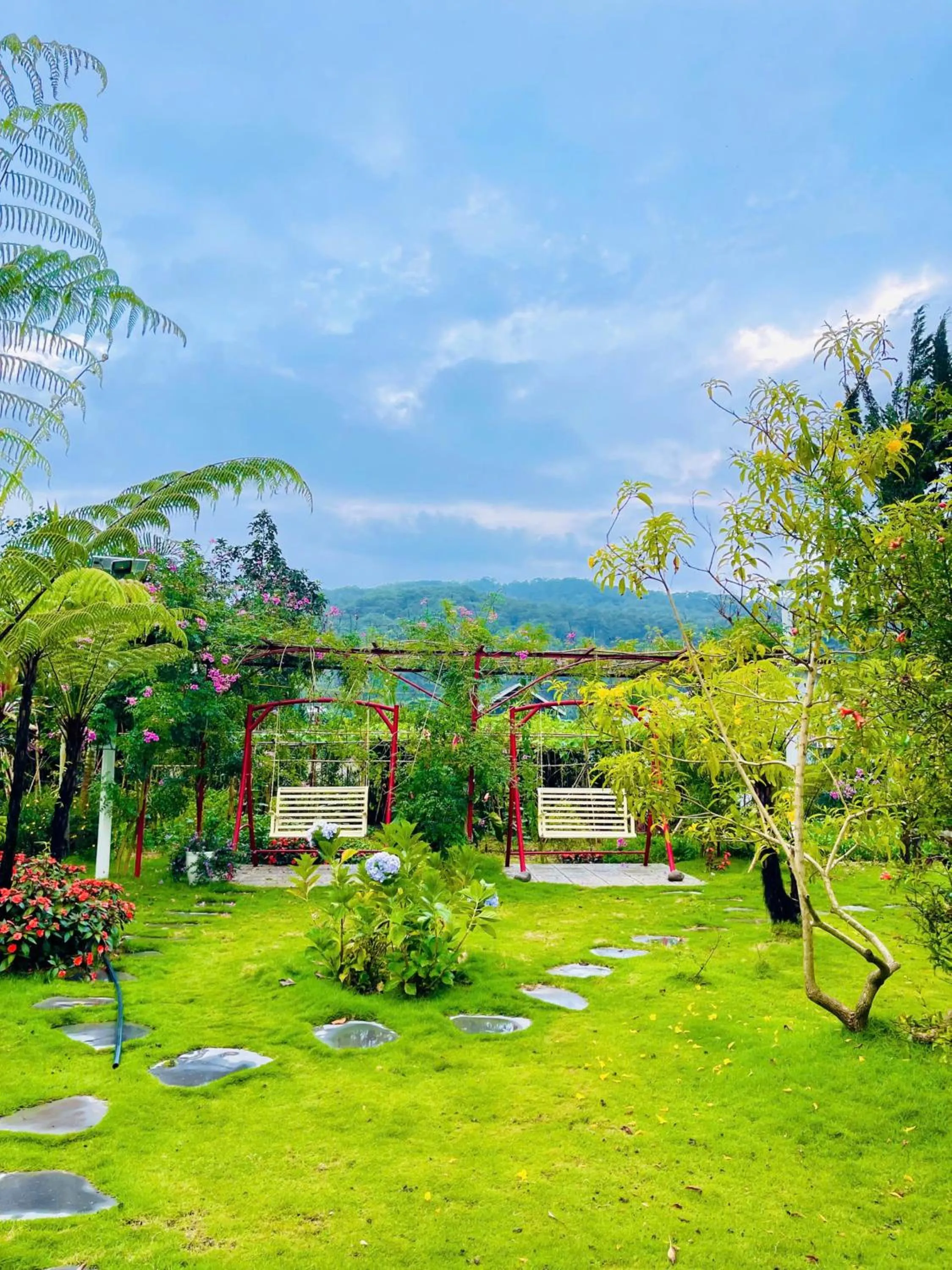 Spring in White Villa Đà Lạt