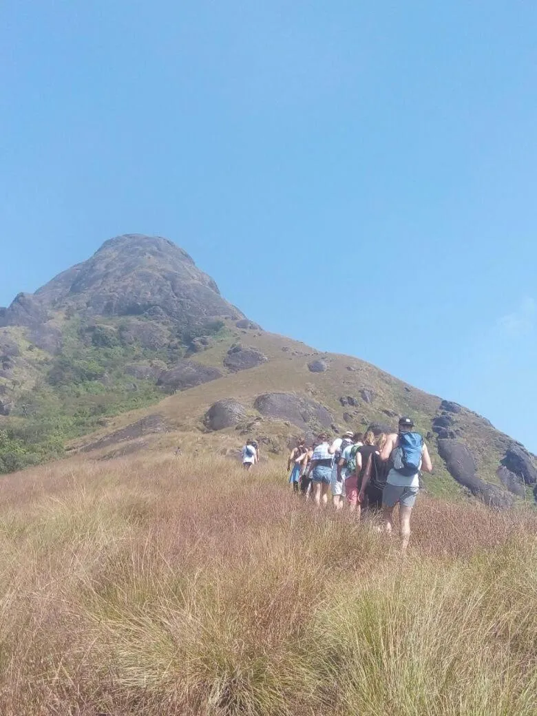 Shamrock Holiday Home