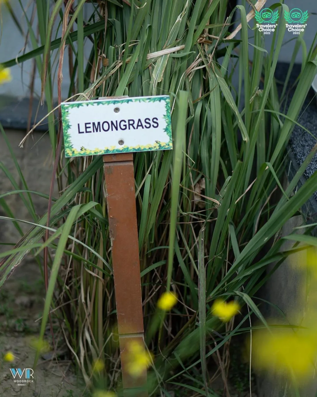 Property building in Woodrock Luxury Boutique Hotel