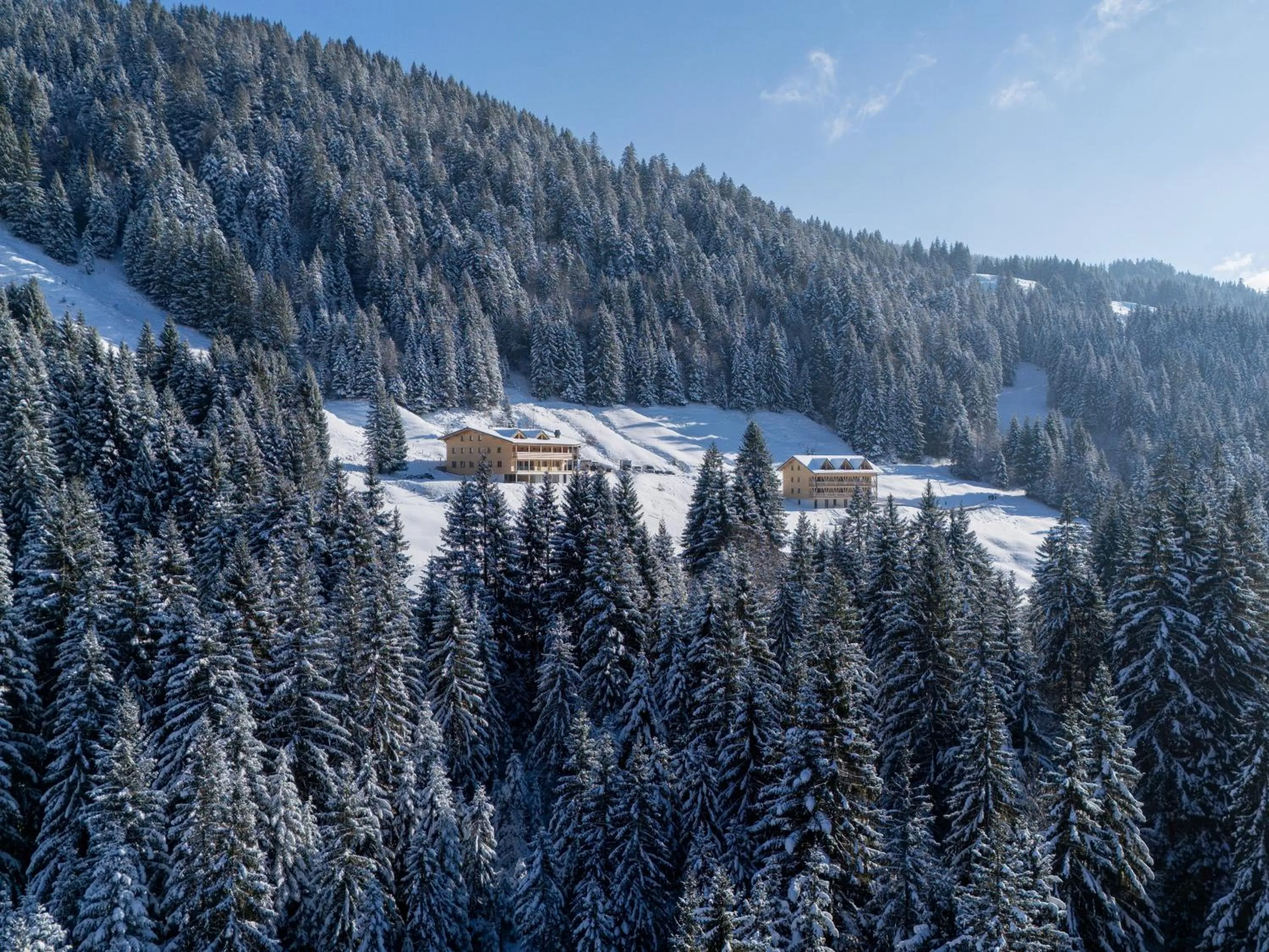 Berghotel Wald&Wiesn