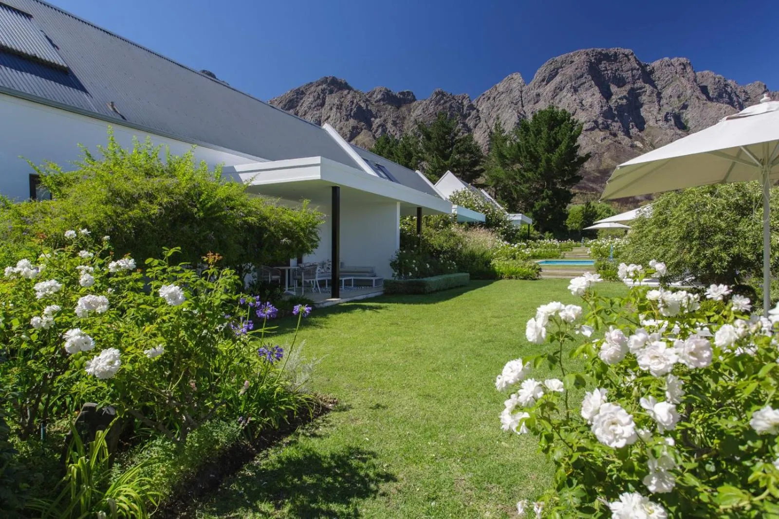 Deluxe King Room in Chambray Estate - The Terraces in the Vines