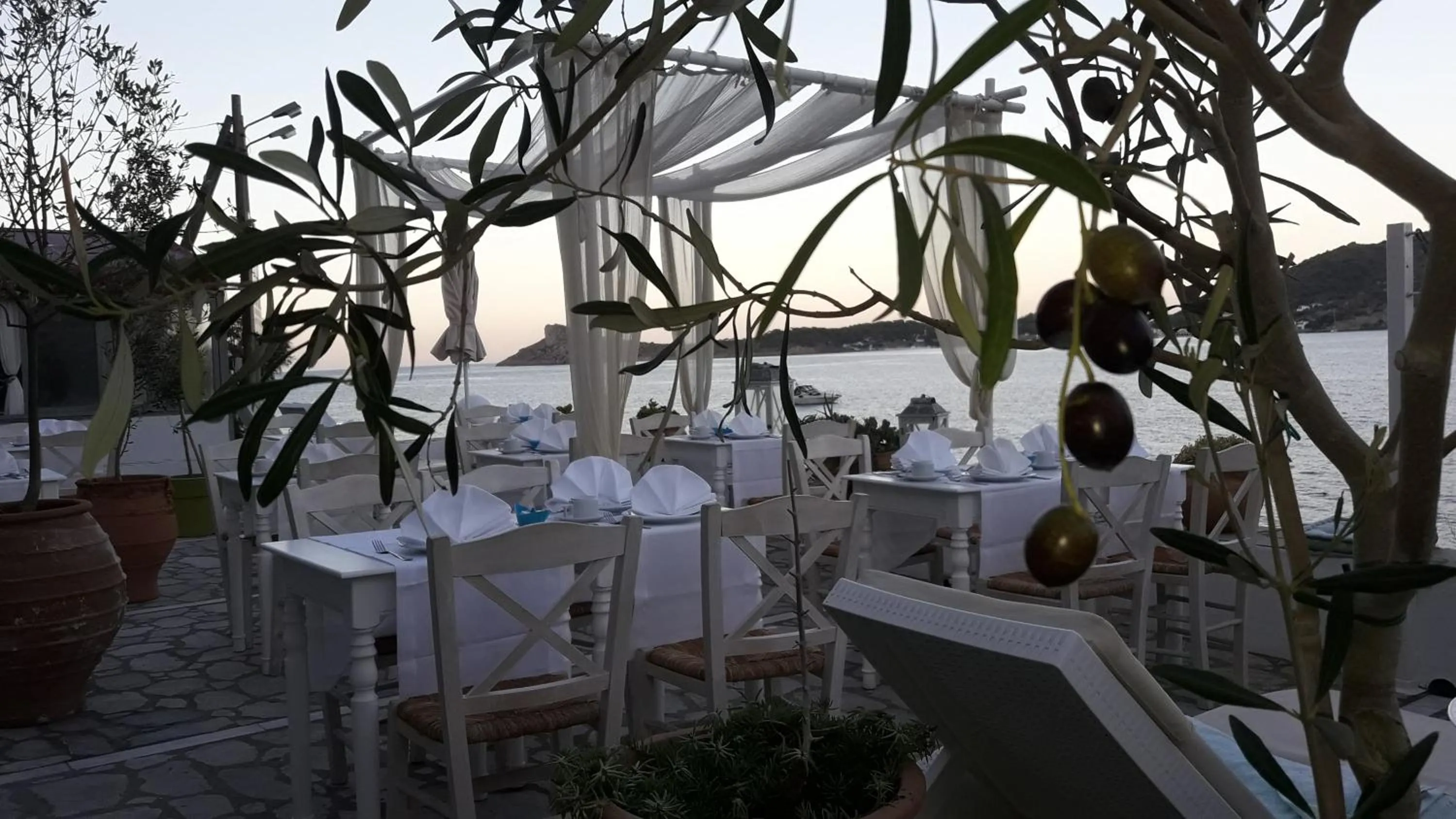Dining area in MasouriBlu Boutique Hotel