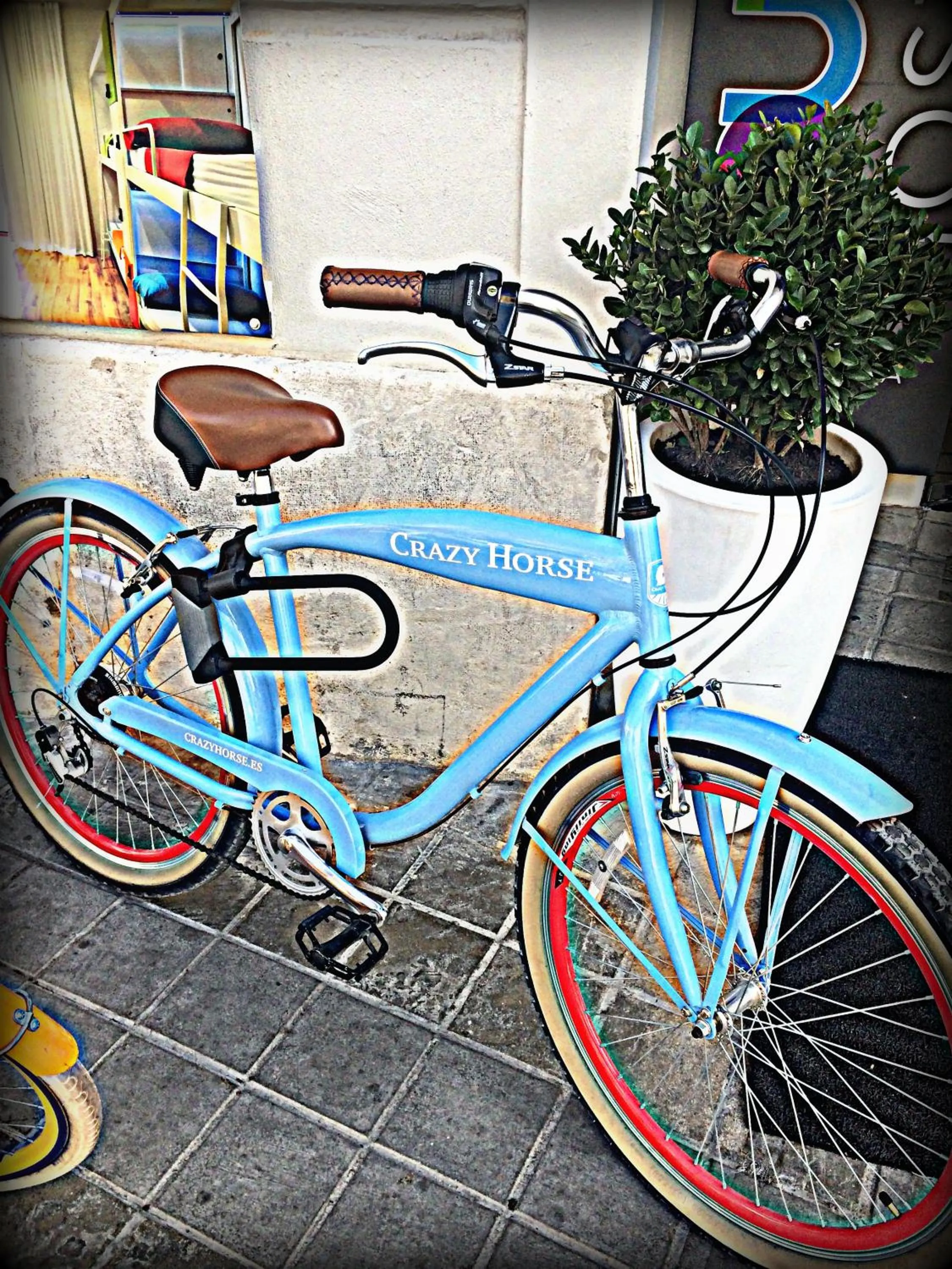 Cycling in Urban Youth Hostel