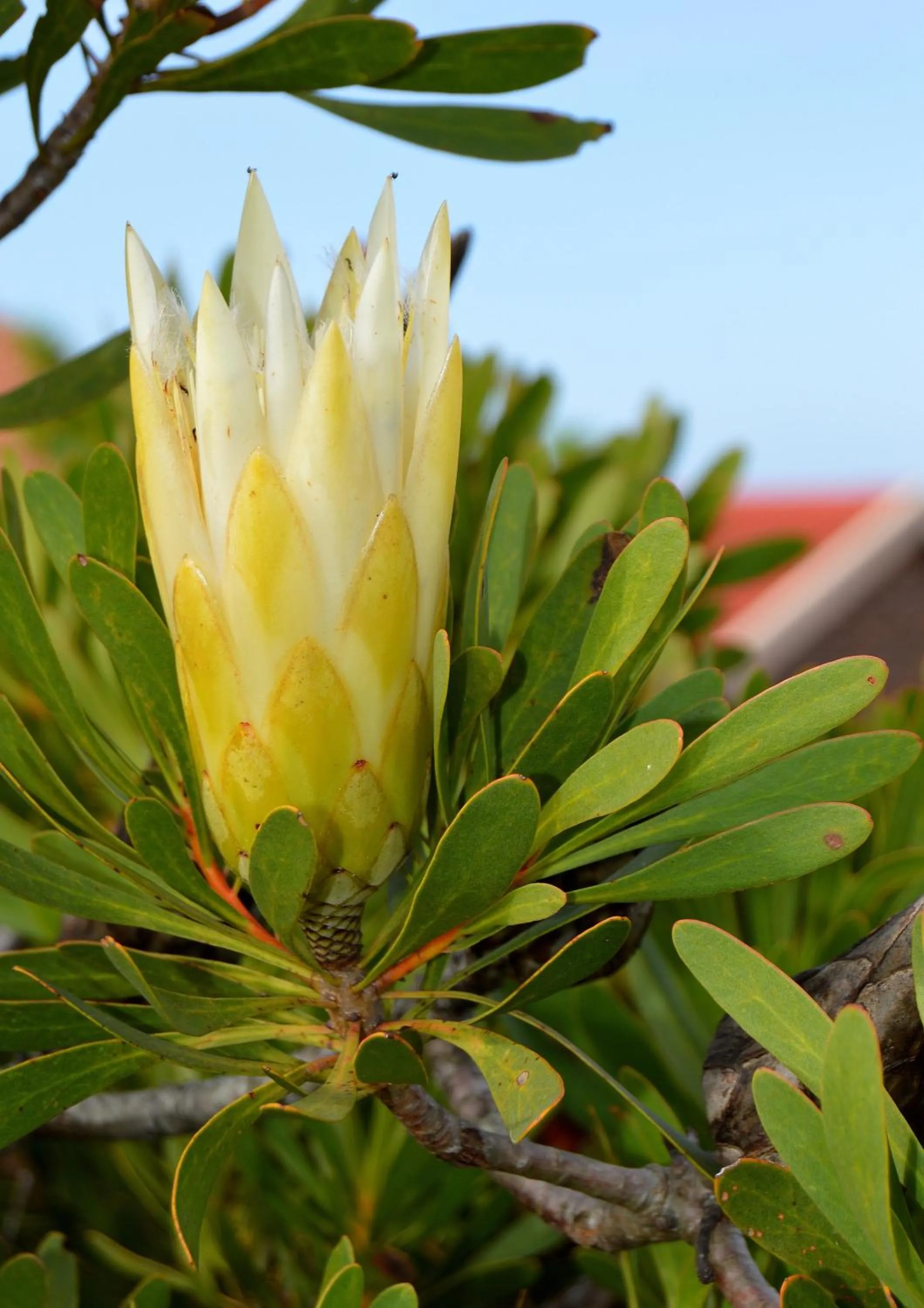 Natural landscape in Eden Guesthouse B&B