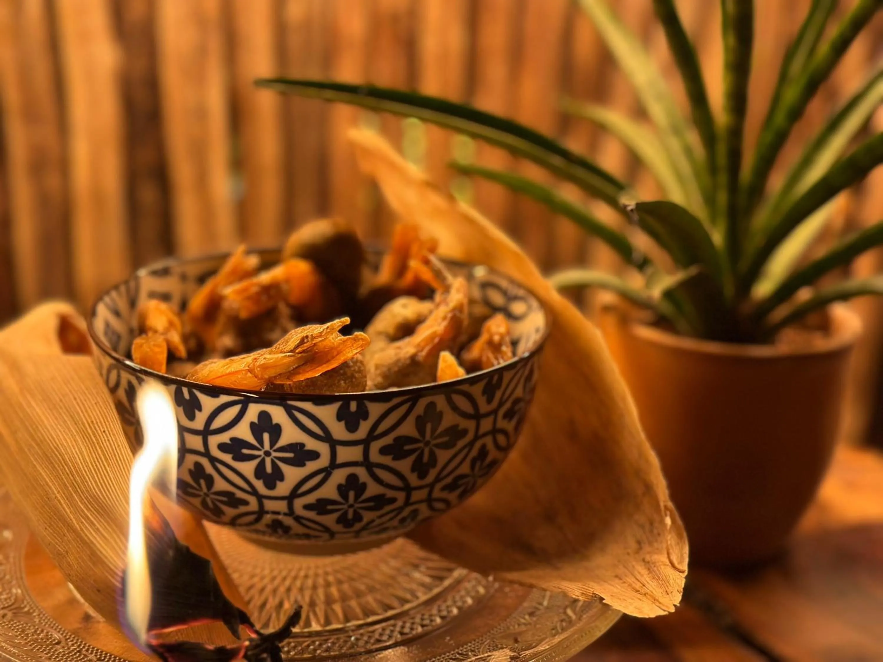 Restaurant/places to eat in Kuun Taak Tulum