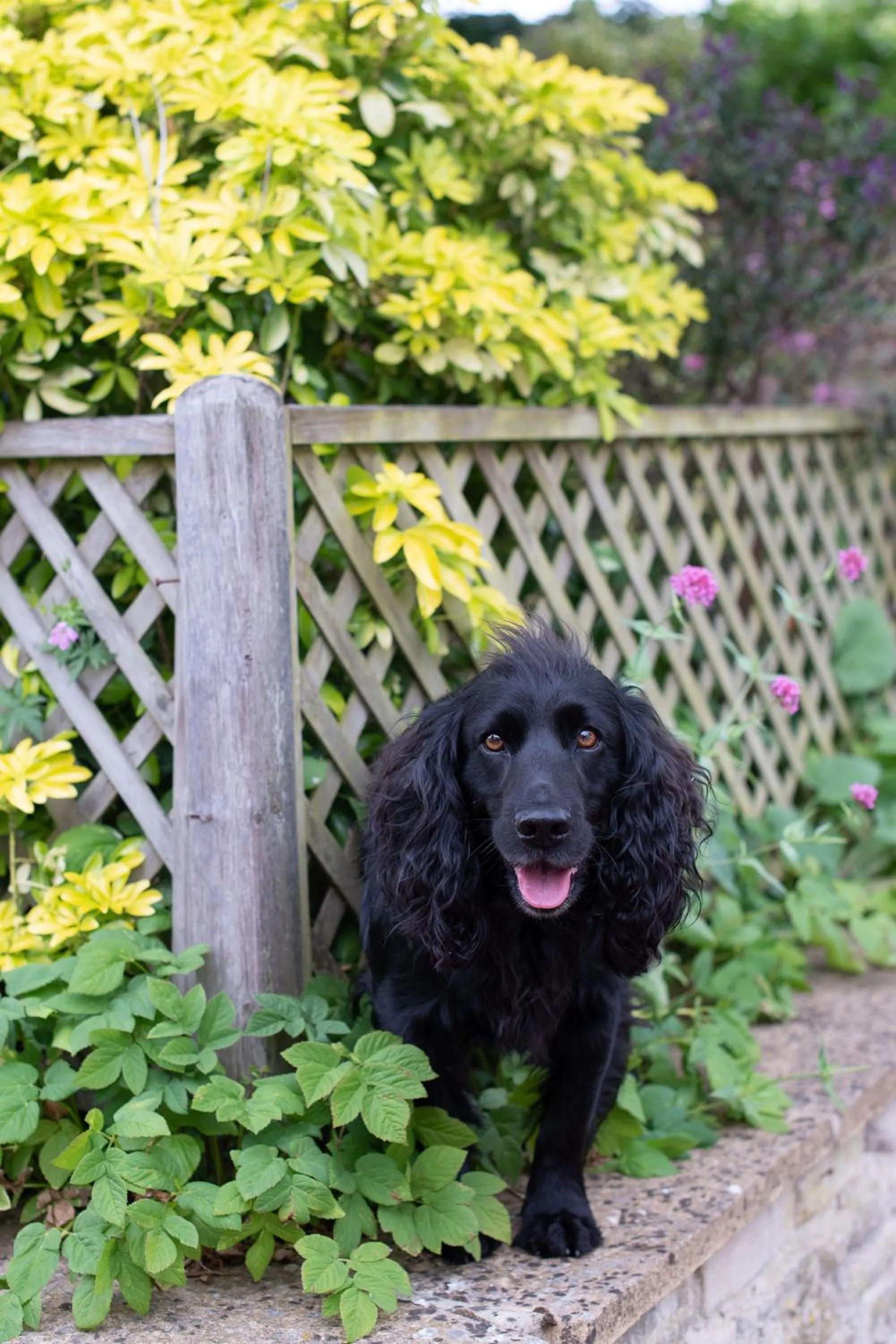 Corinium Hotel & Restaurant