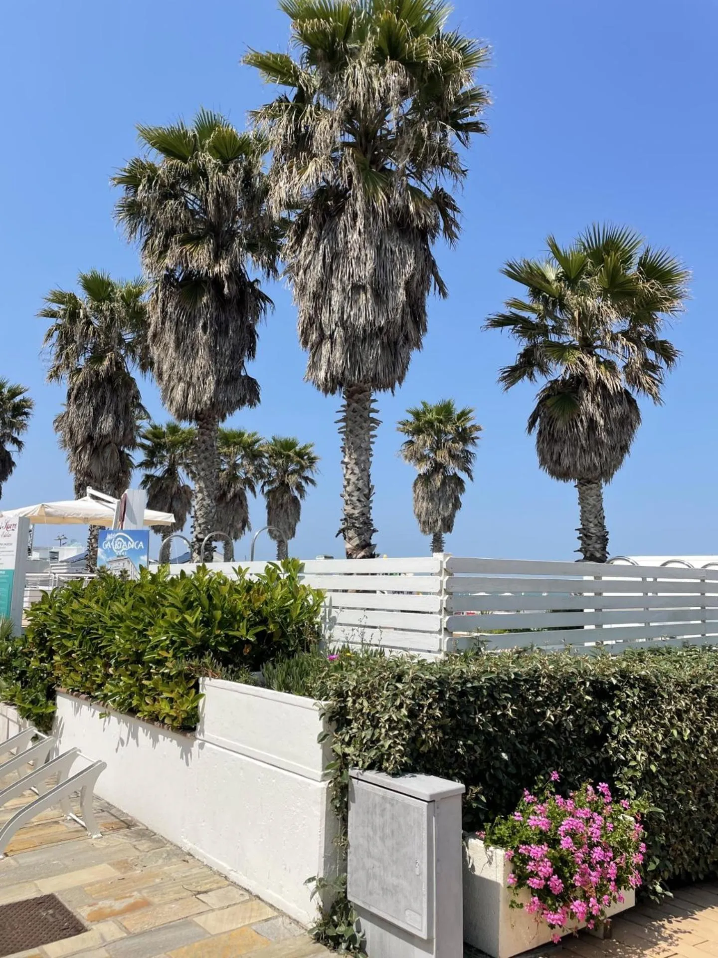 Natural landscape in Hotel Napoleon