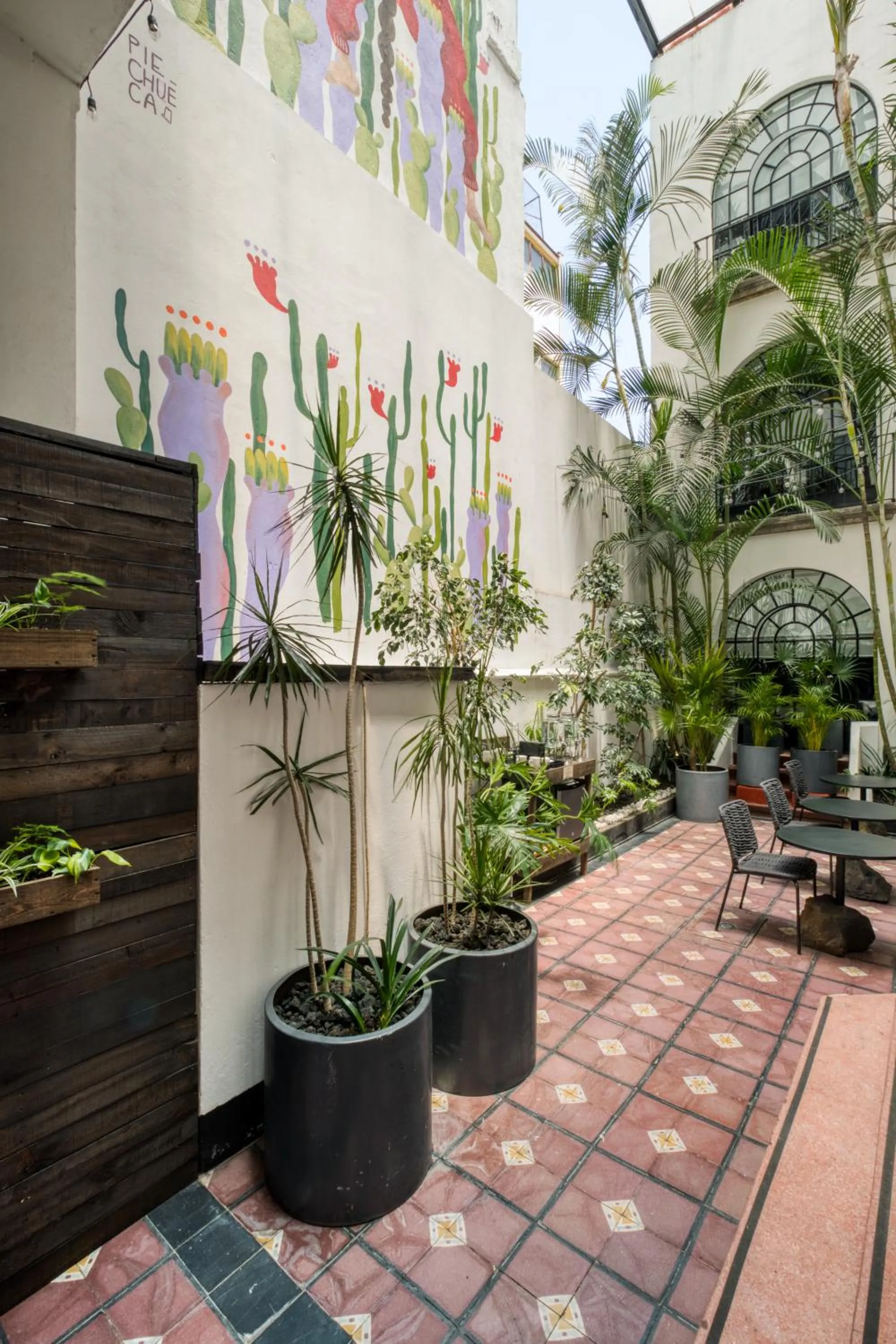 Garden in Santa Casa by Tasman