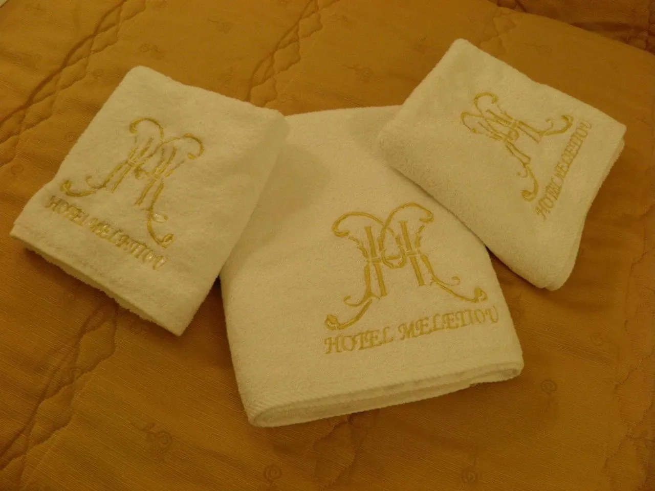 Property logo or sign in Hotel Meletiou