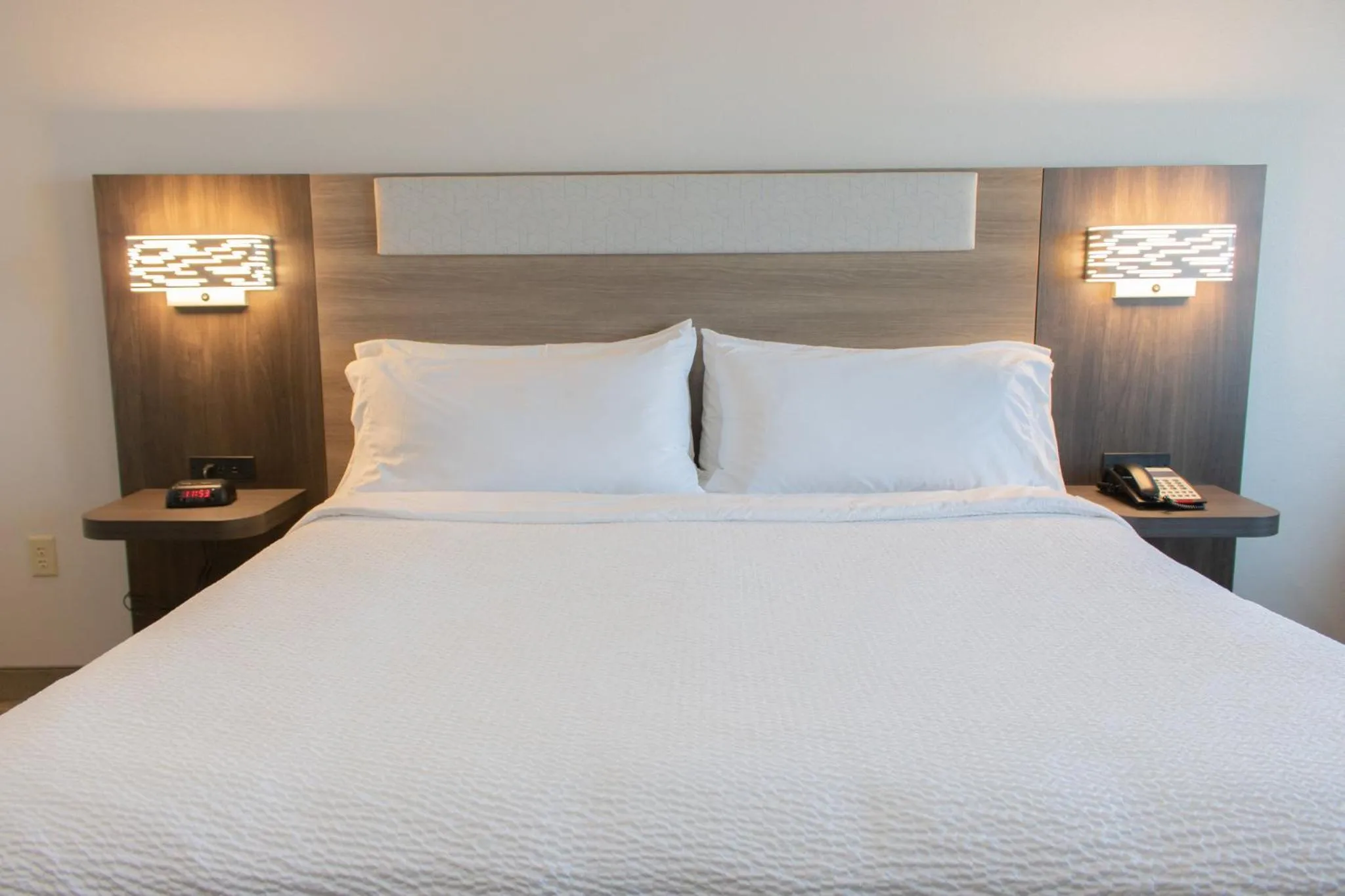 Photo of the whole room, Bed in Holiday Inn Express Hotel & Suites Temple-Medical Center Area by IHG