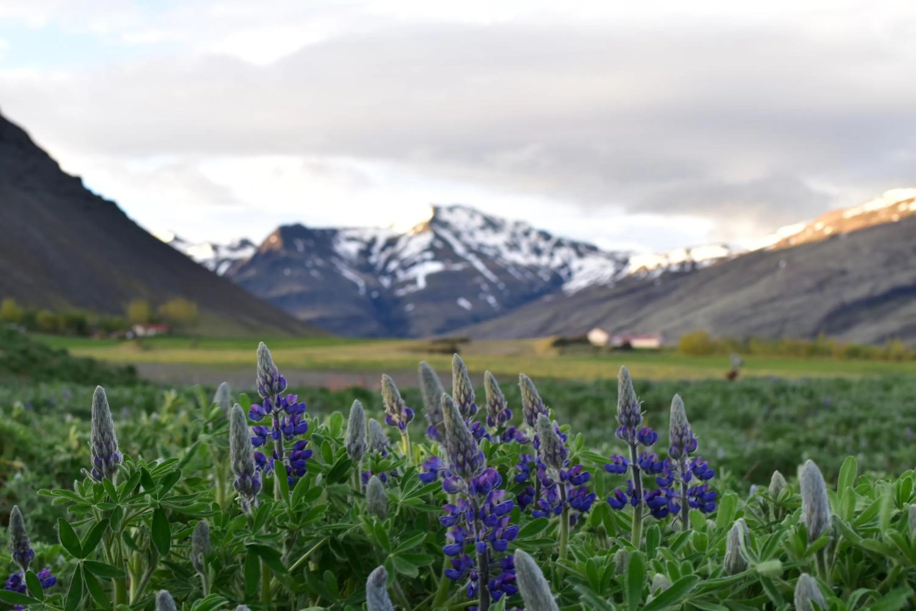 Nearby landmark in Glacier World - Hoffell Guesthouse