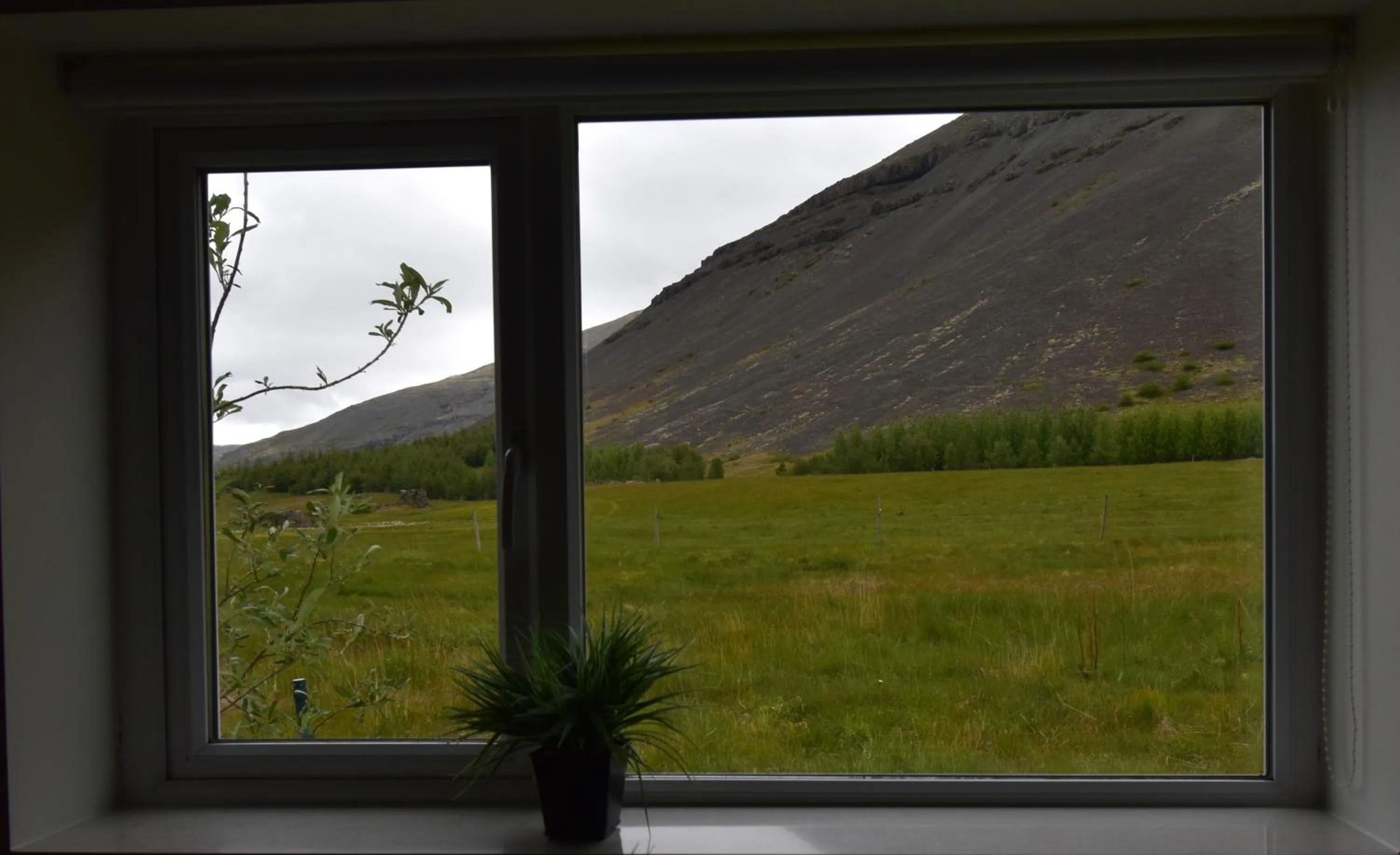 View (from property/room) in Glacier World - Hoffell Guesthouse