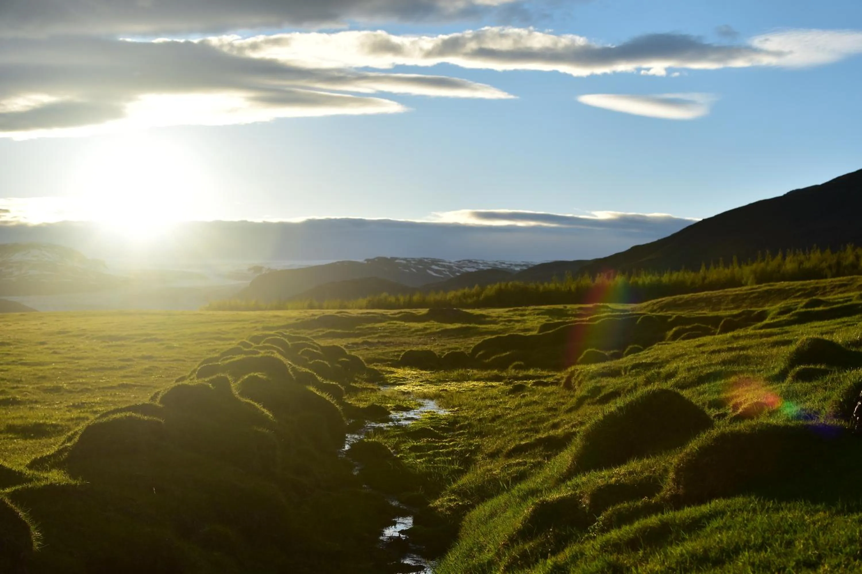 Natural landscape in Glacier World - Hoffell Guesthouse