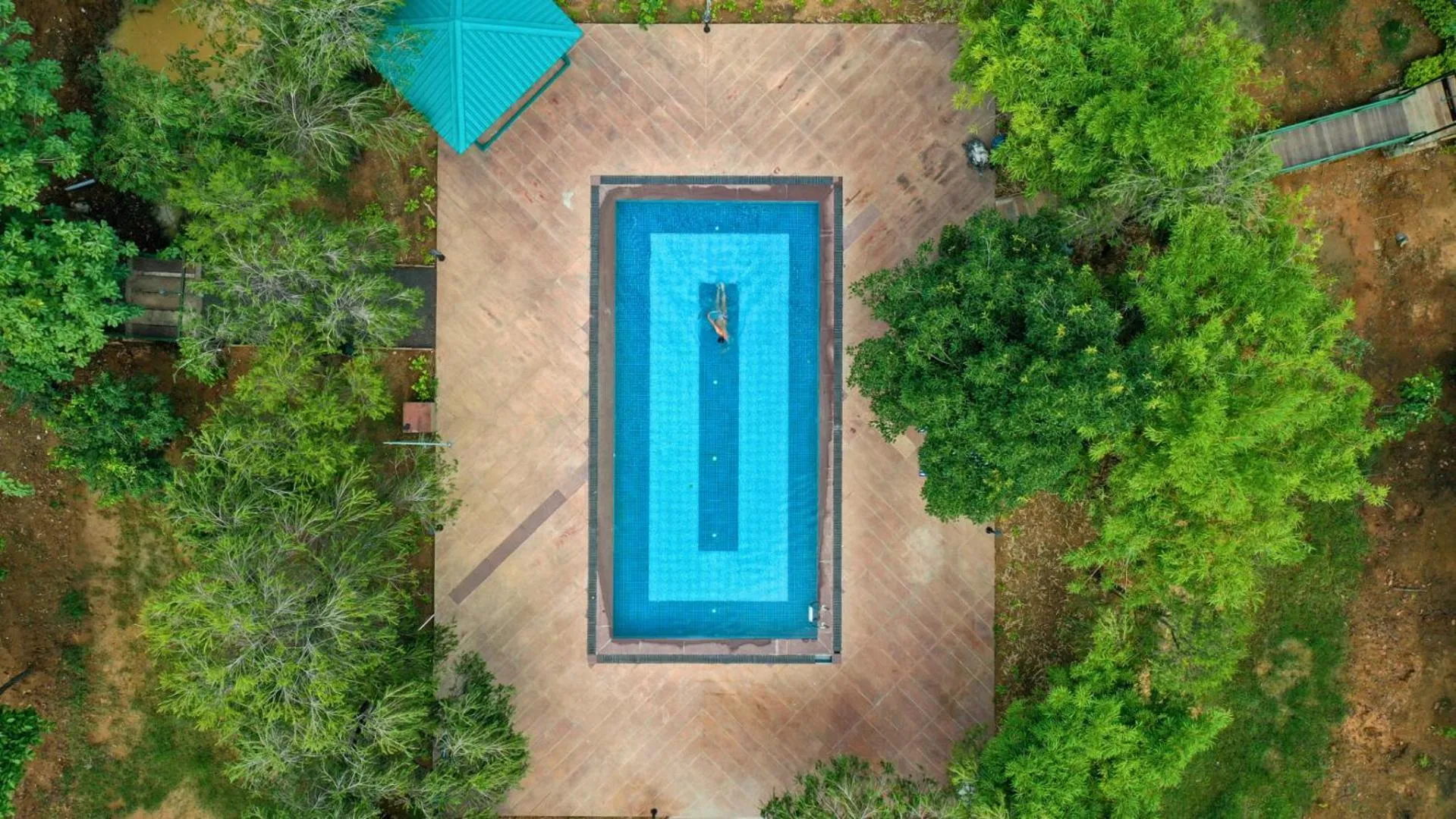 Swimming pool in Tathastu Bandhavgarh