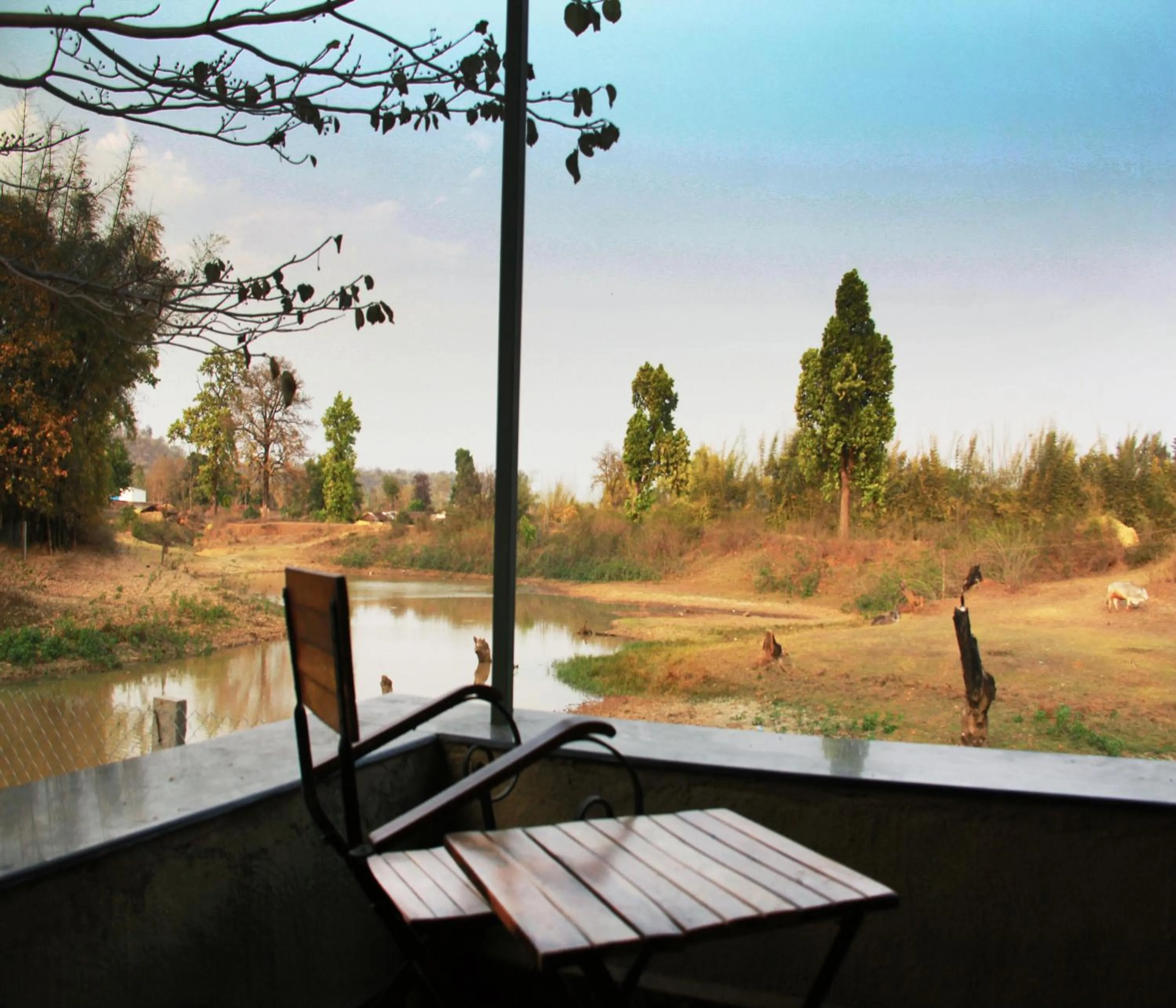 Natural landscape in Tathastu Bandhavgarh