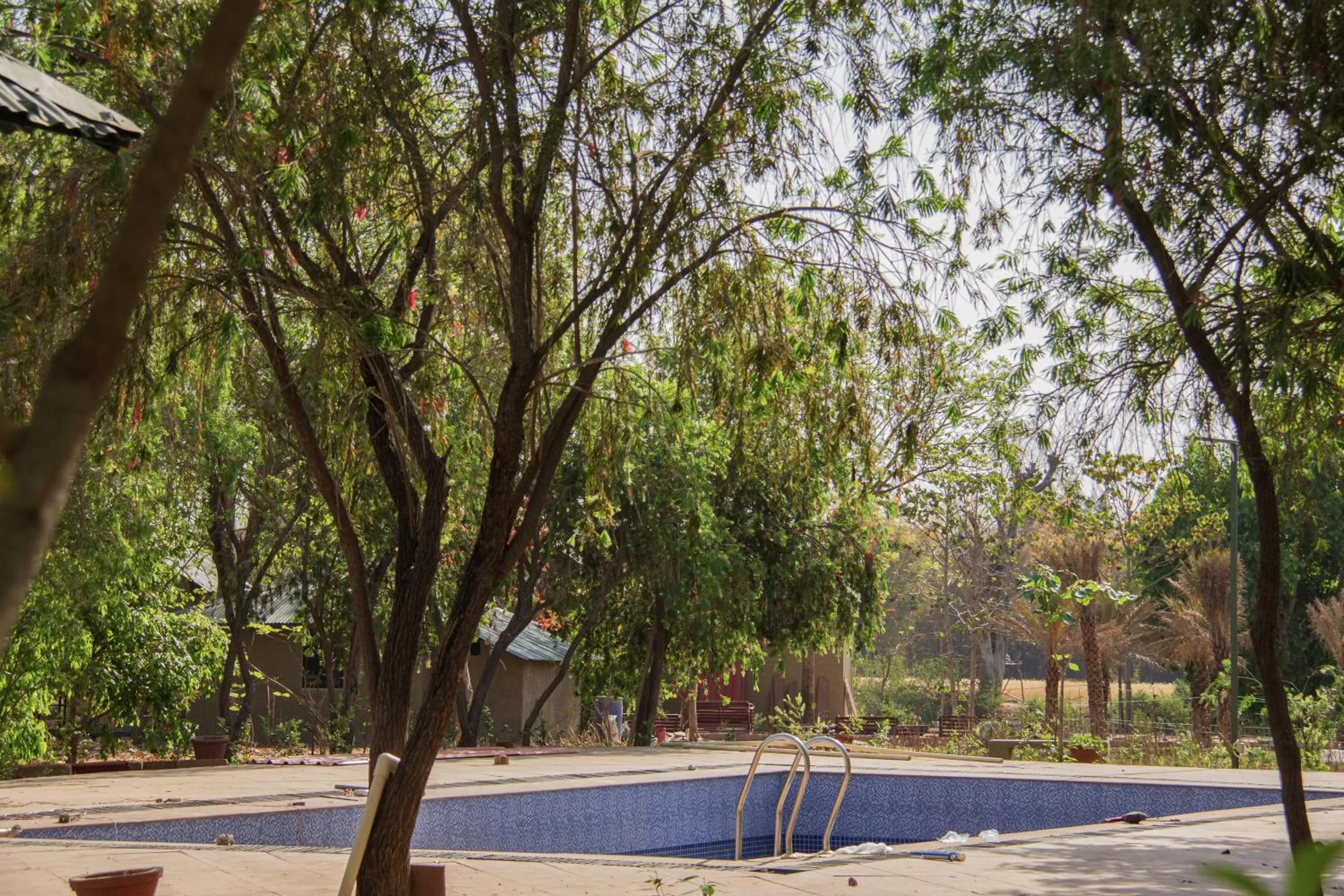  in Tathastu Bandhavgarh