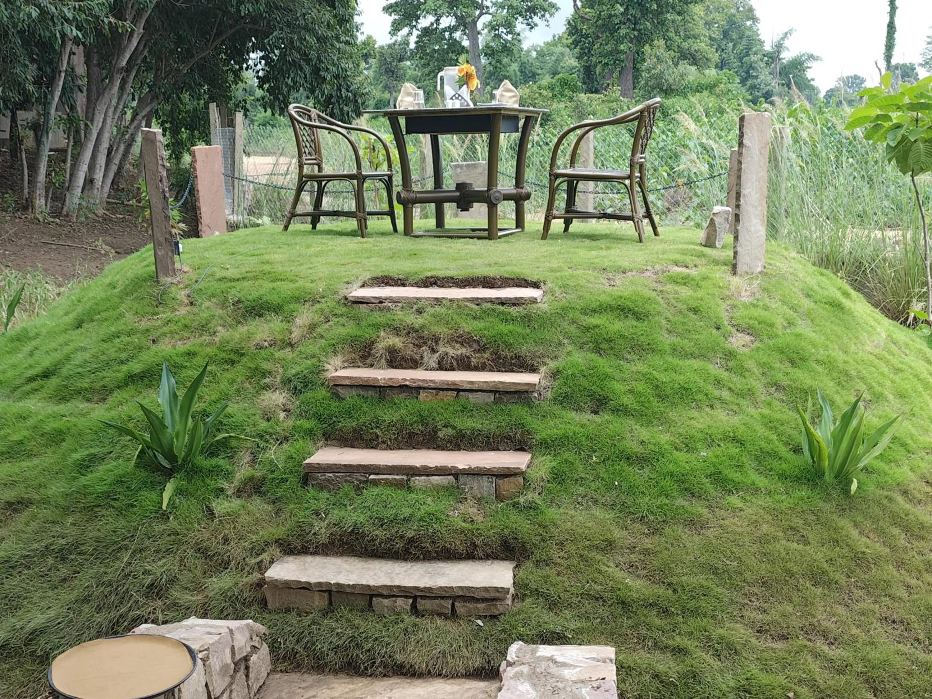 Activities in Tathastu Bandhavgarh