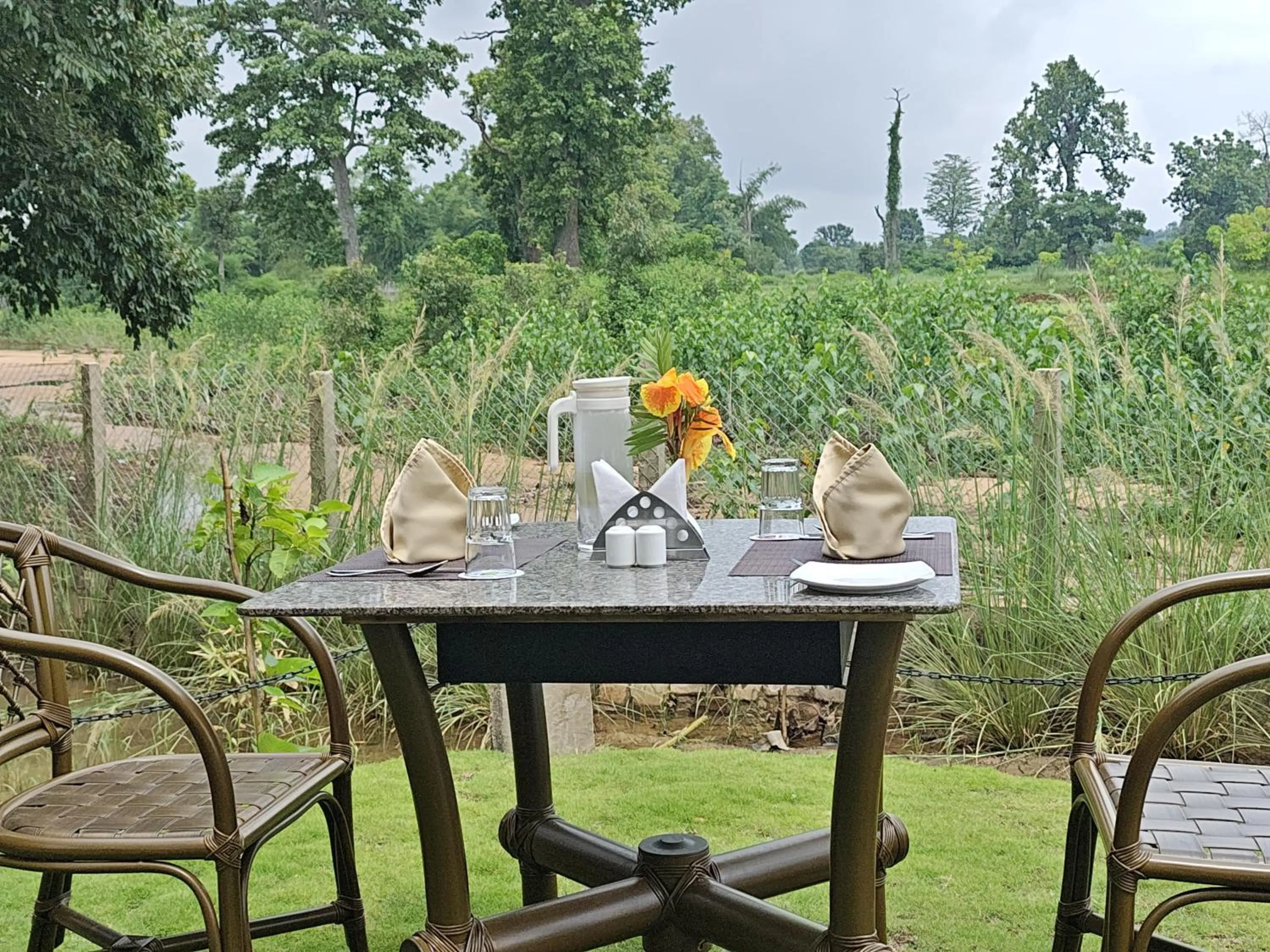 Activities in Tathastu Bandhavgarh