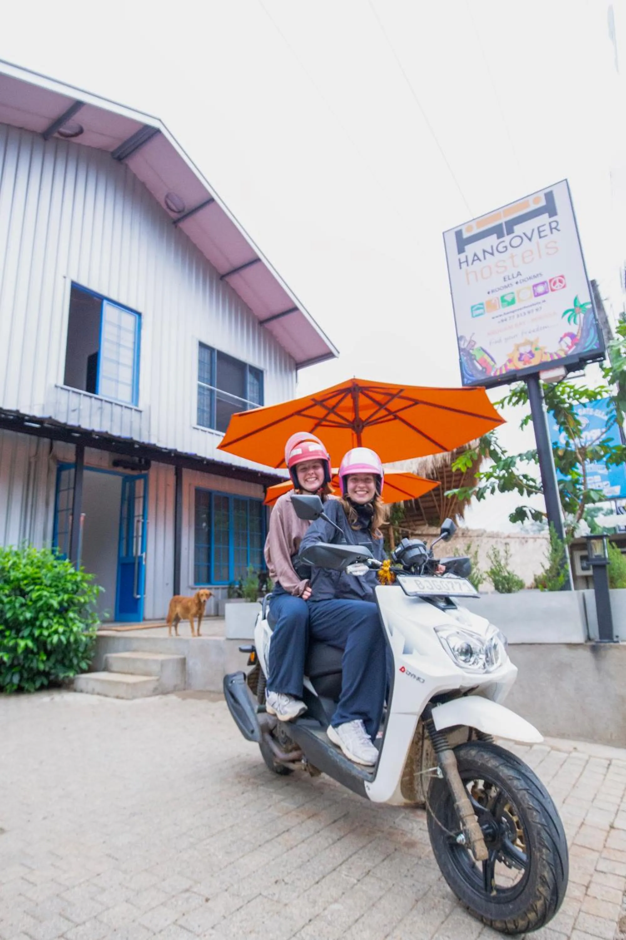 Hangover Hostels Ella
