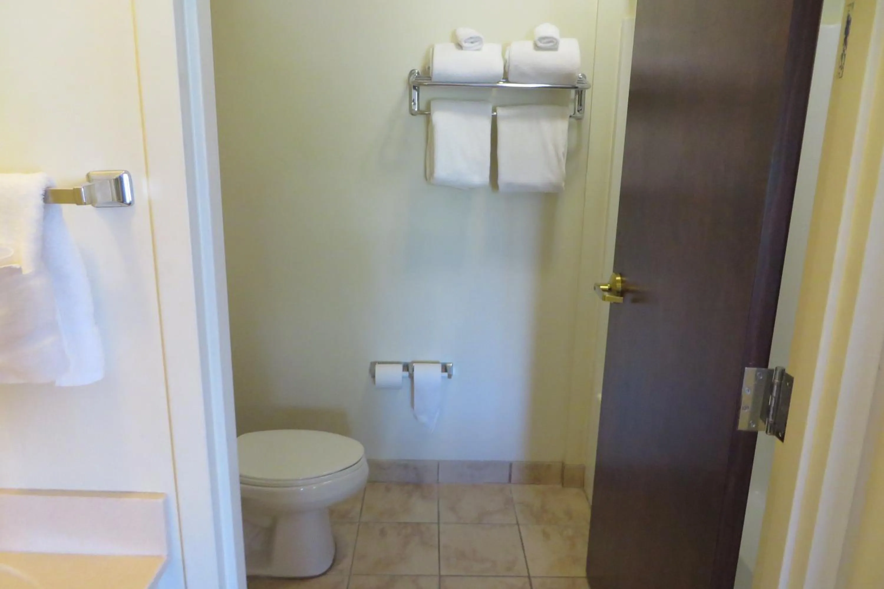 Bathroom in Hawthorn Extended Stay by Wyndham Seville