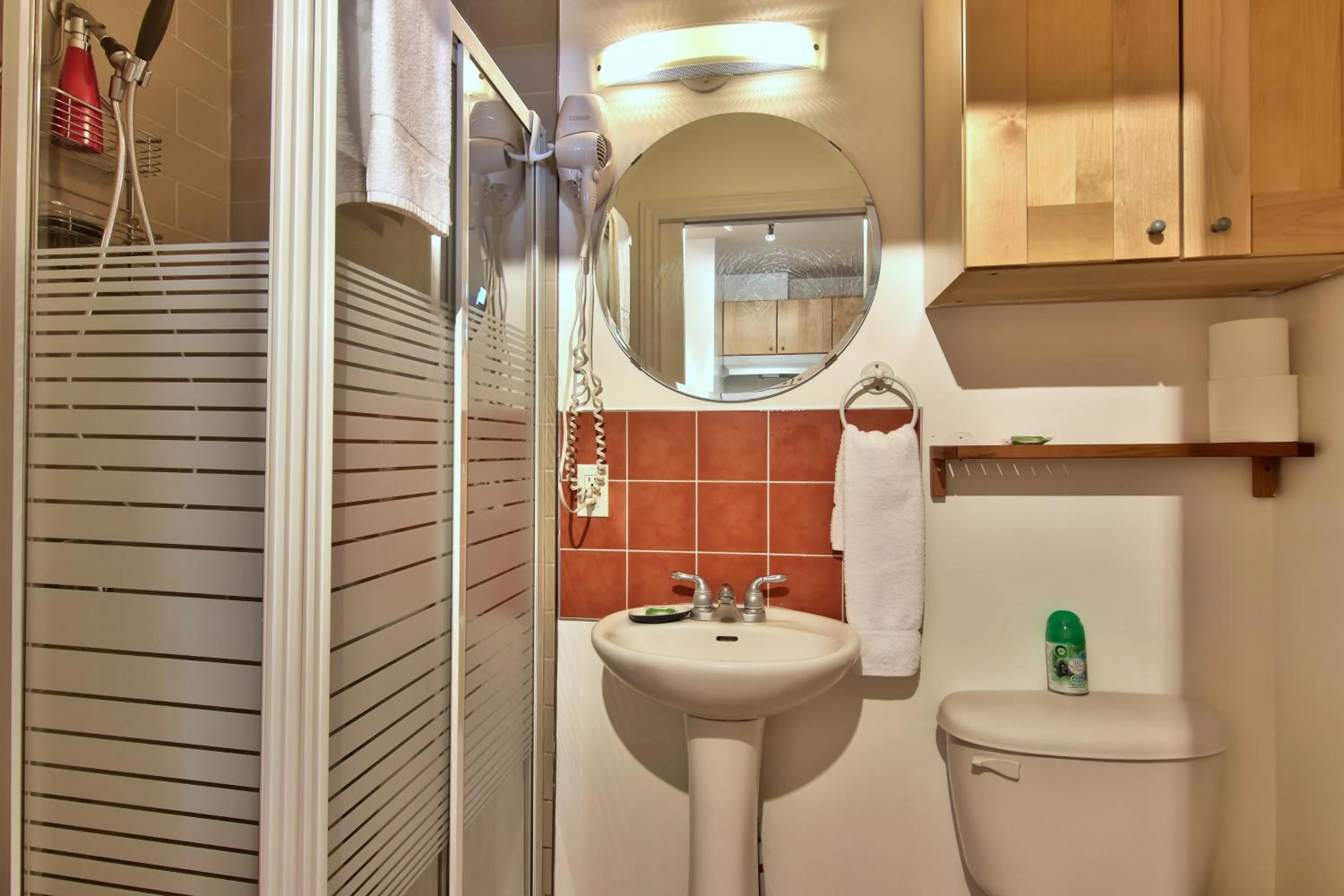 Shower in Apartment et Studio montreal