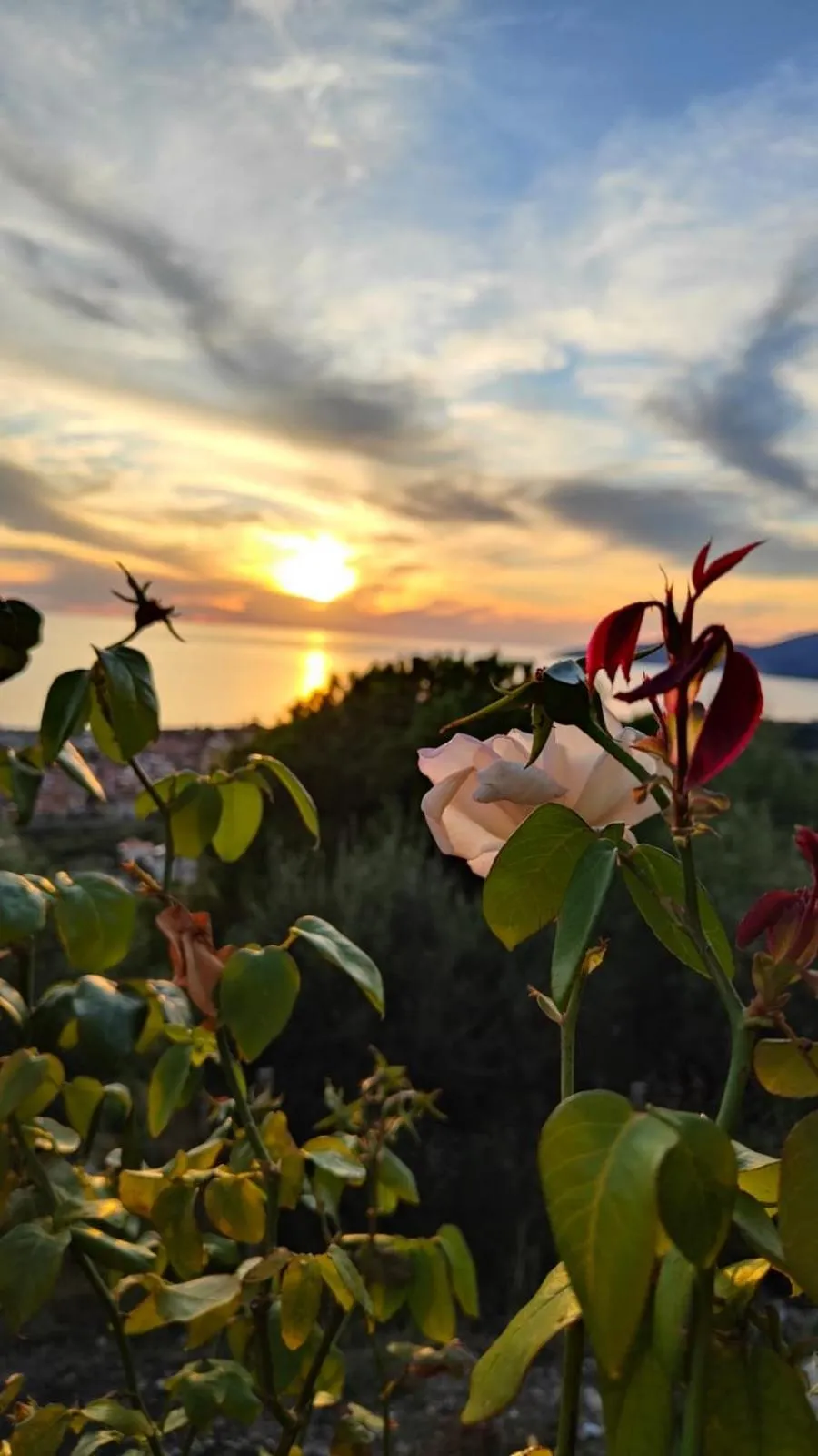 B&B Relais da Clorinda
