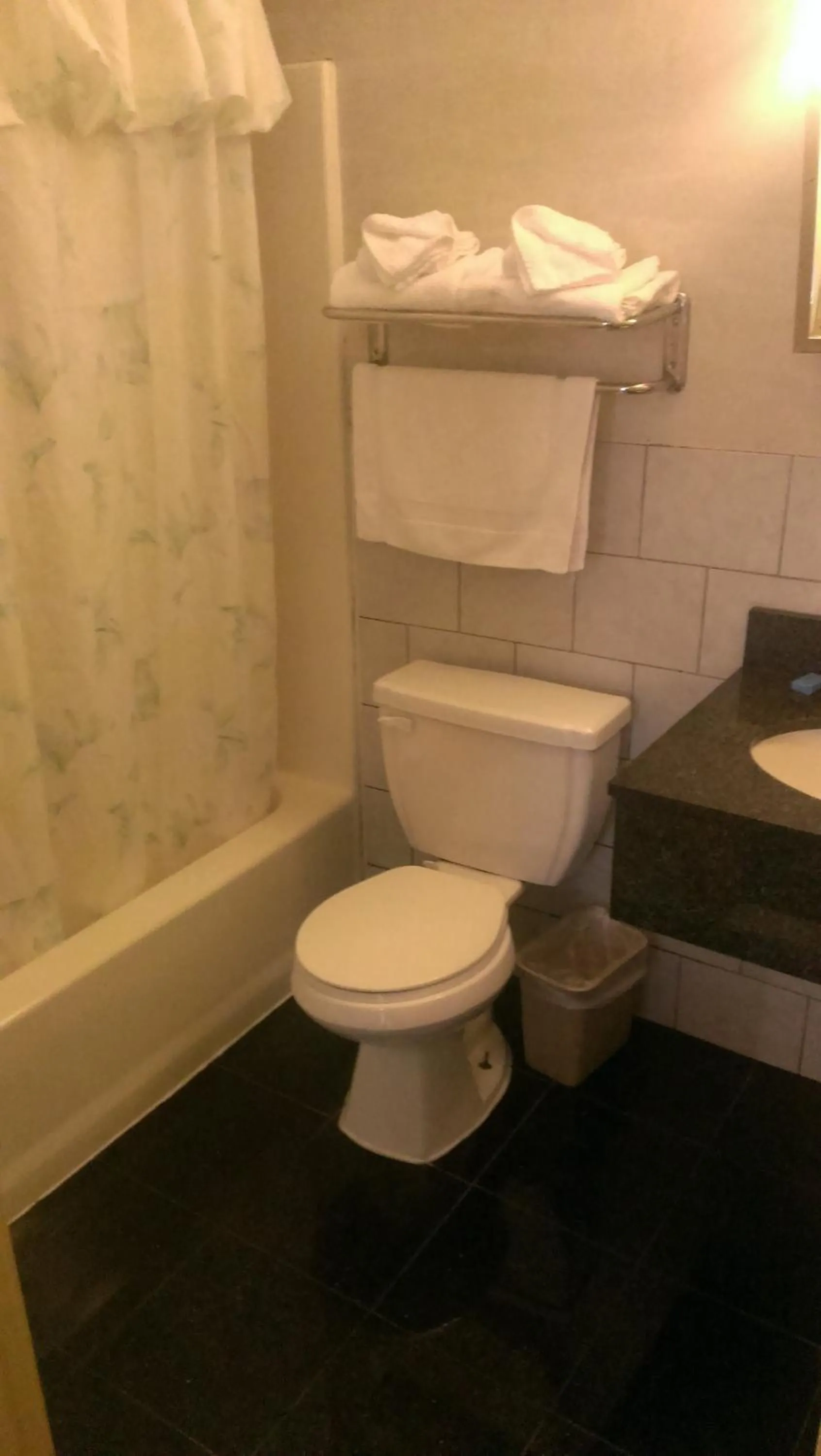 Toilet in Branford Motel