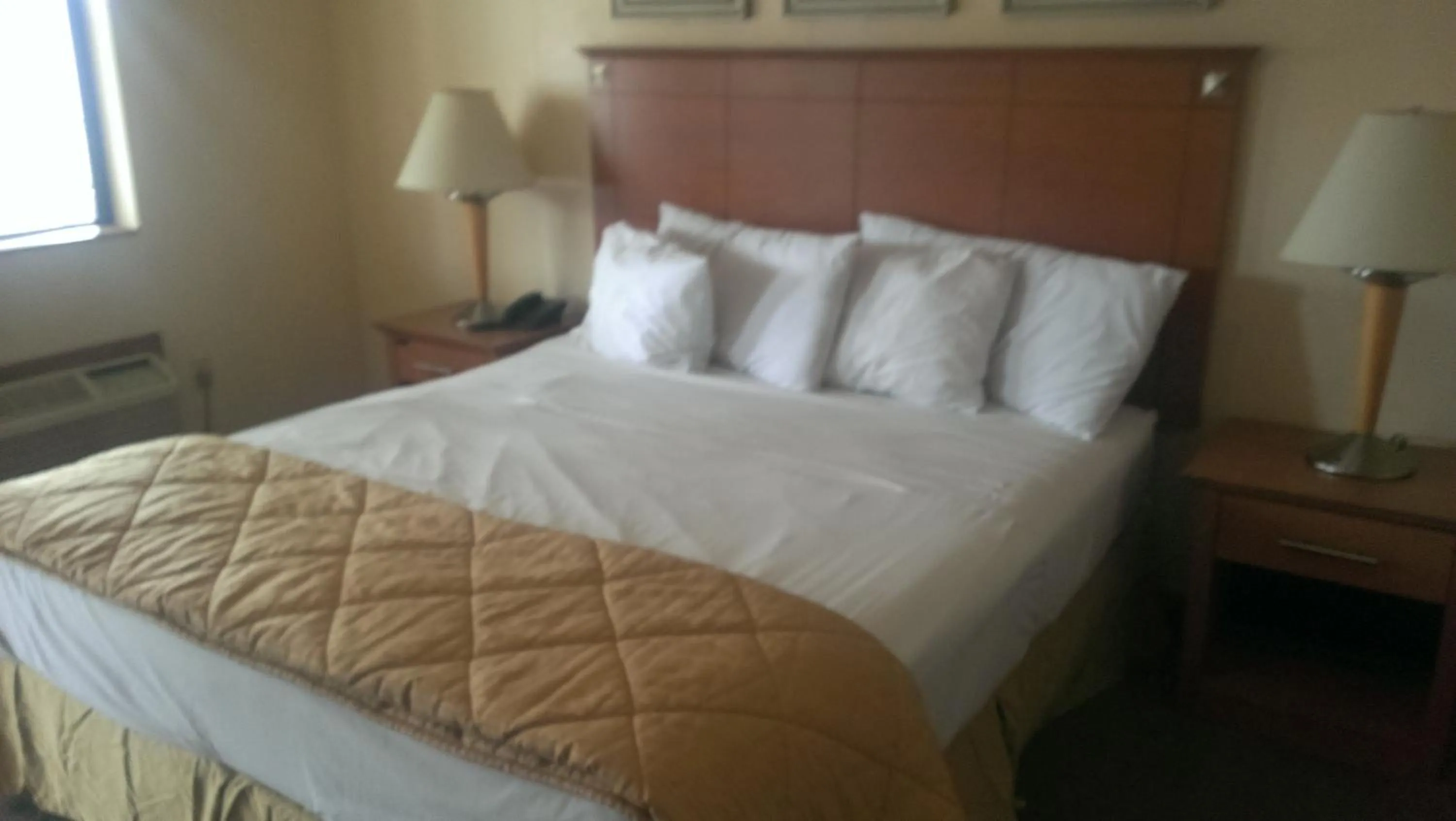 Day, Bed in Branford Motel