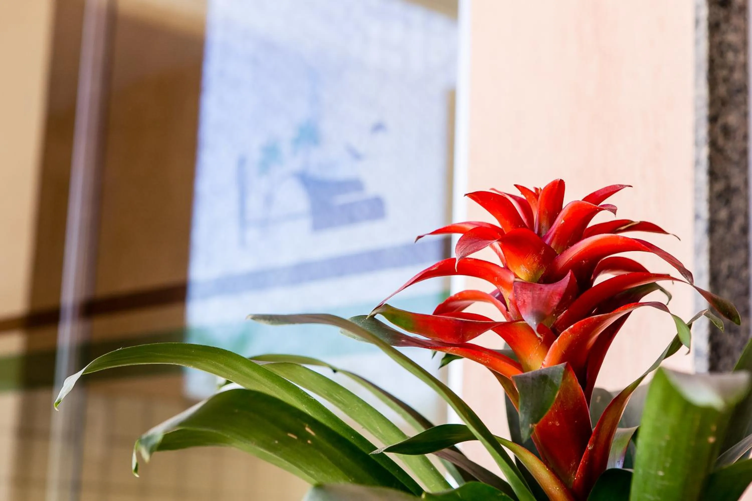 Decorative detail in Pousada Sossego da Pampulha