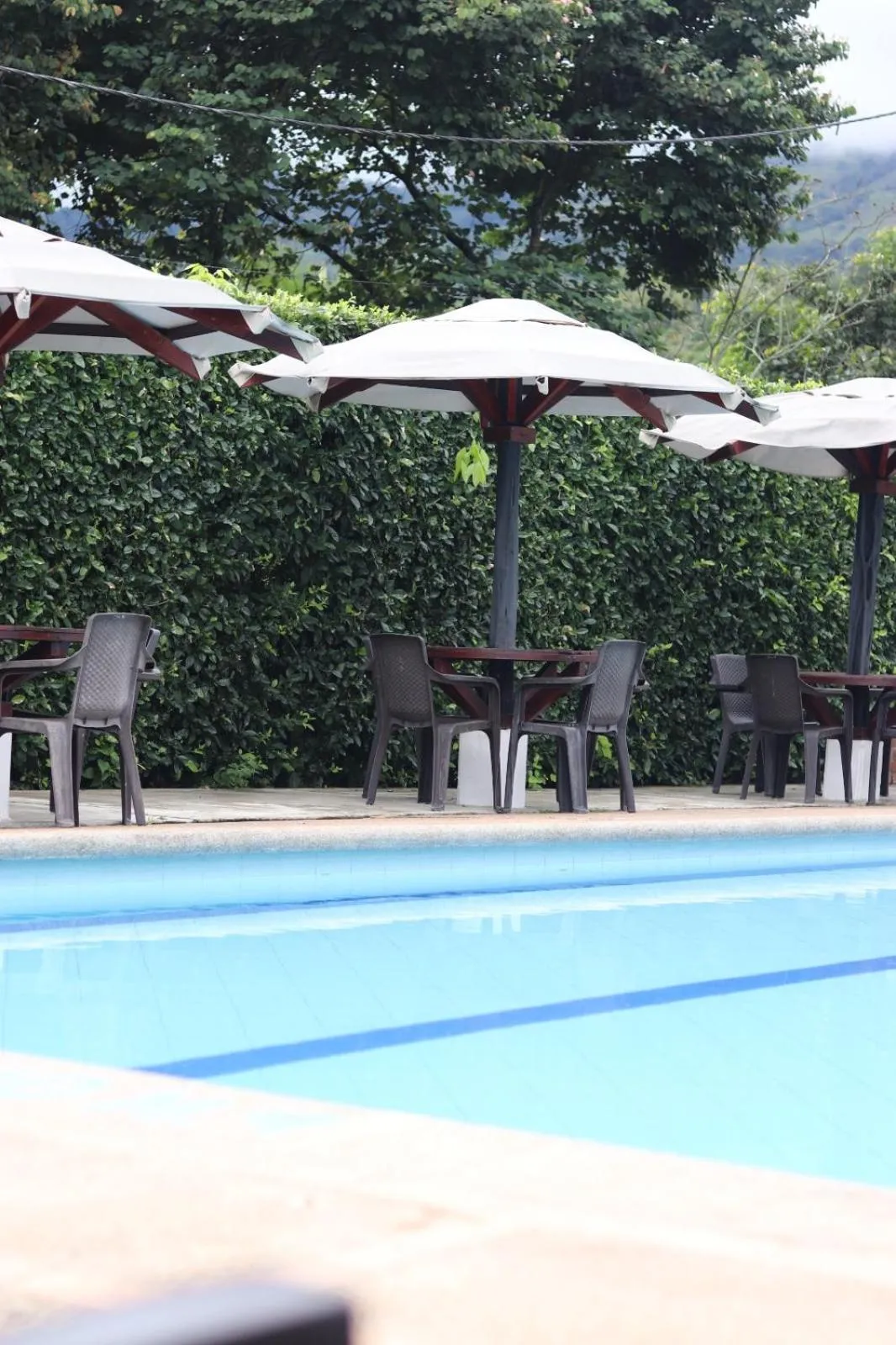 Swimming pool in Desiderata Resort
