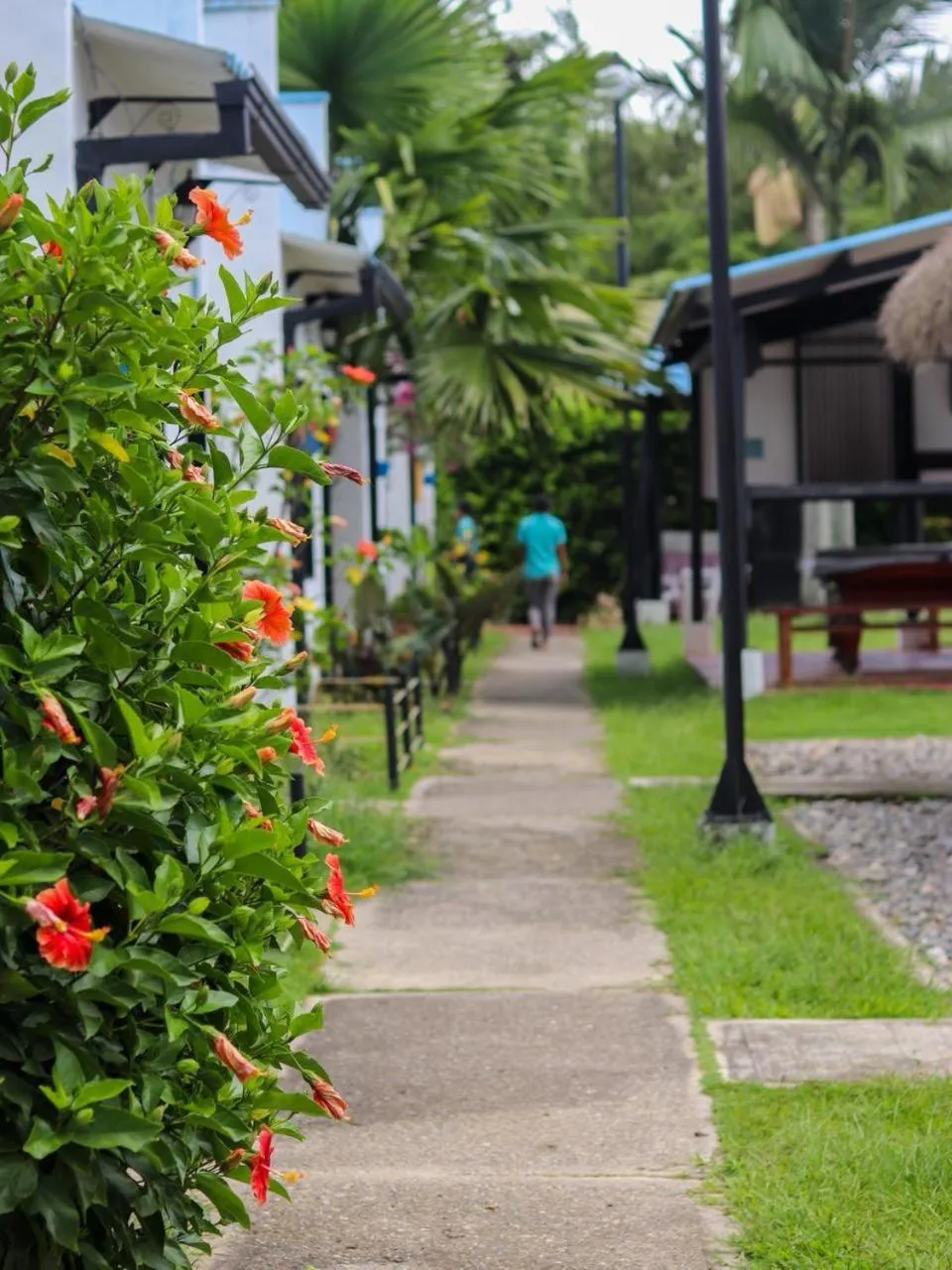 Off site in Desiderata Resort