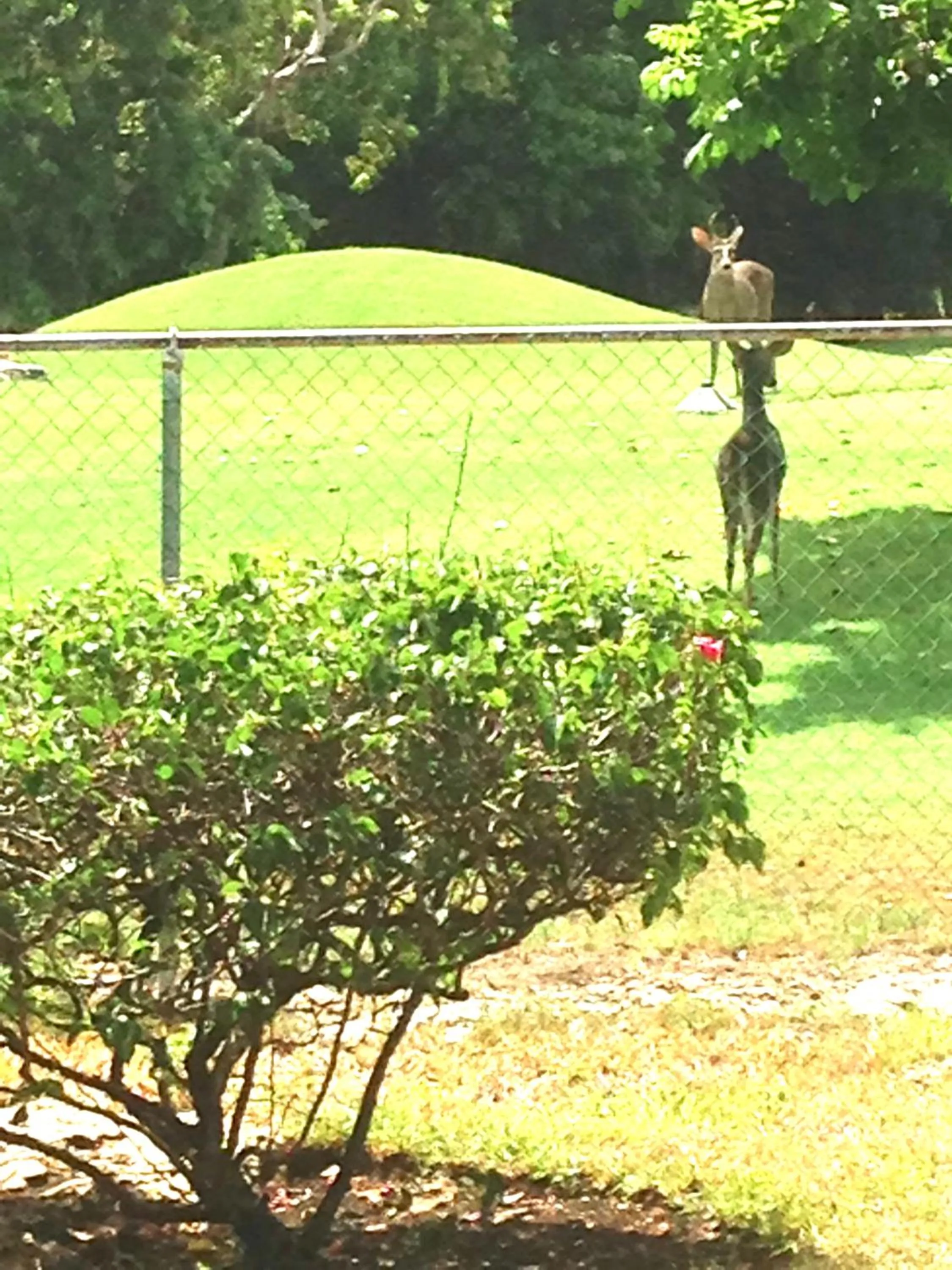 View (from property/room) in Casa Mi Tesoro