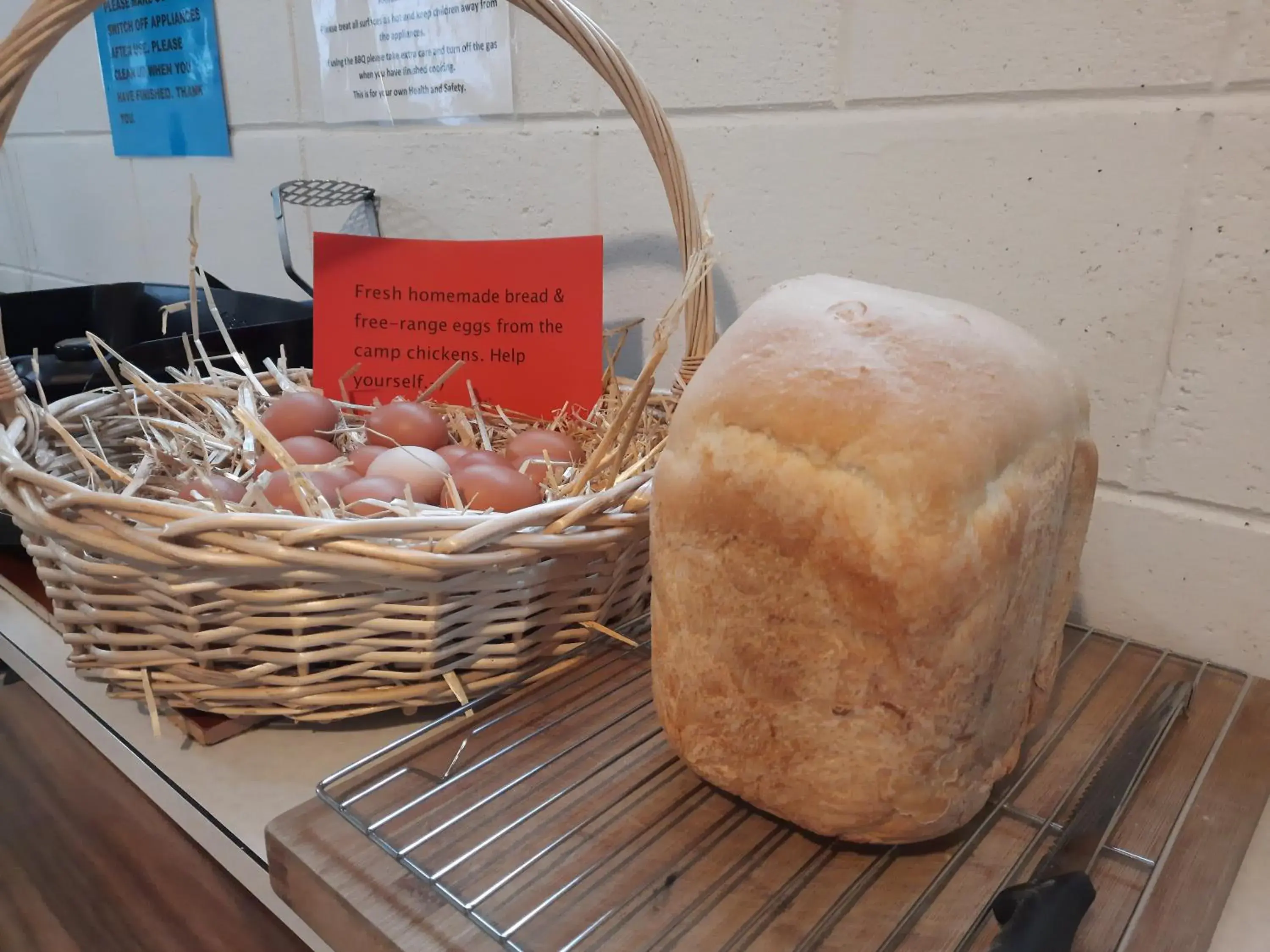 Double Room - single occupancy in Glenavys Waitaki River Motor Camp Double Room - single occupancy in Glenavys Waitaki River Motor Camp