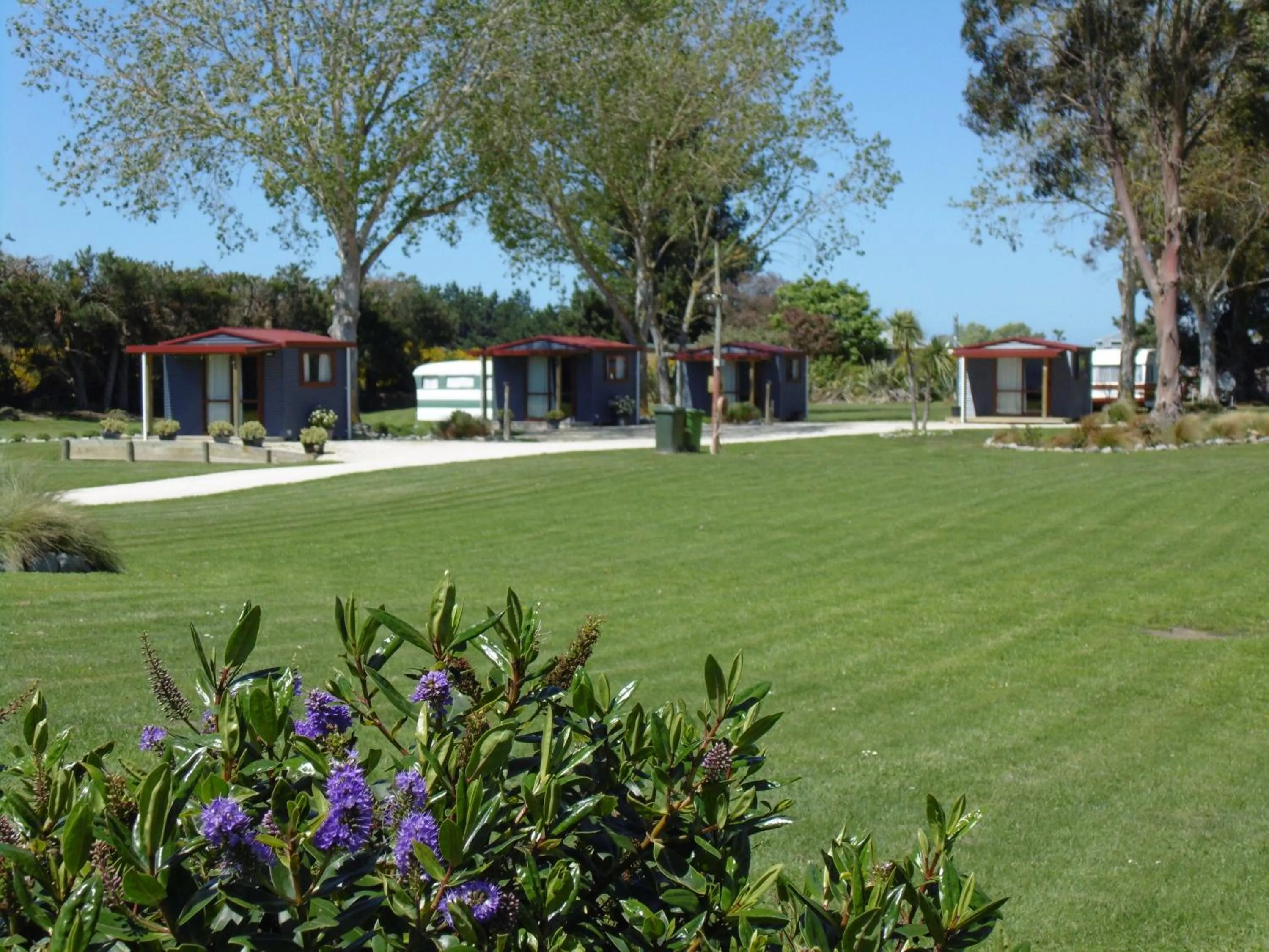 Garden view in Glenavys Waitaki River Motor Camp