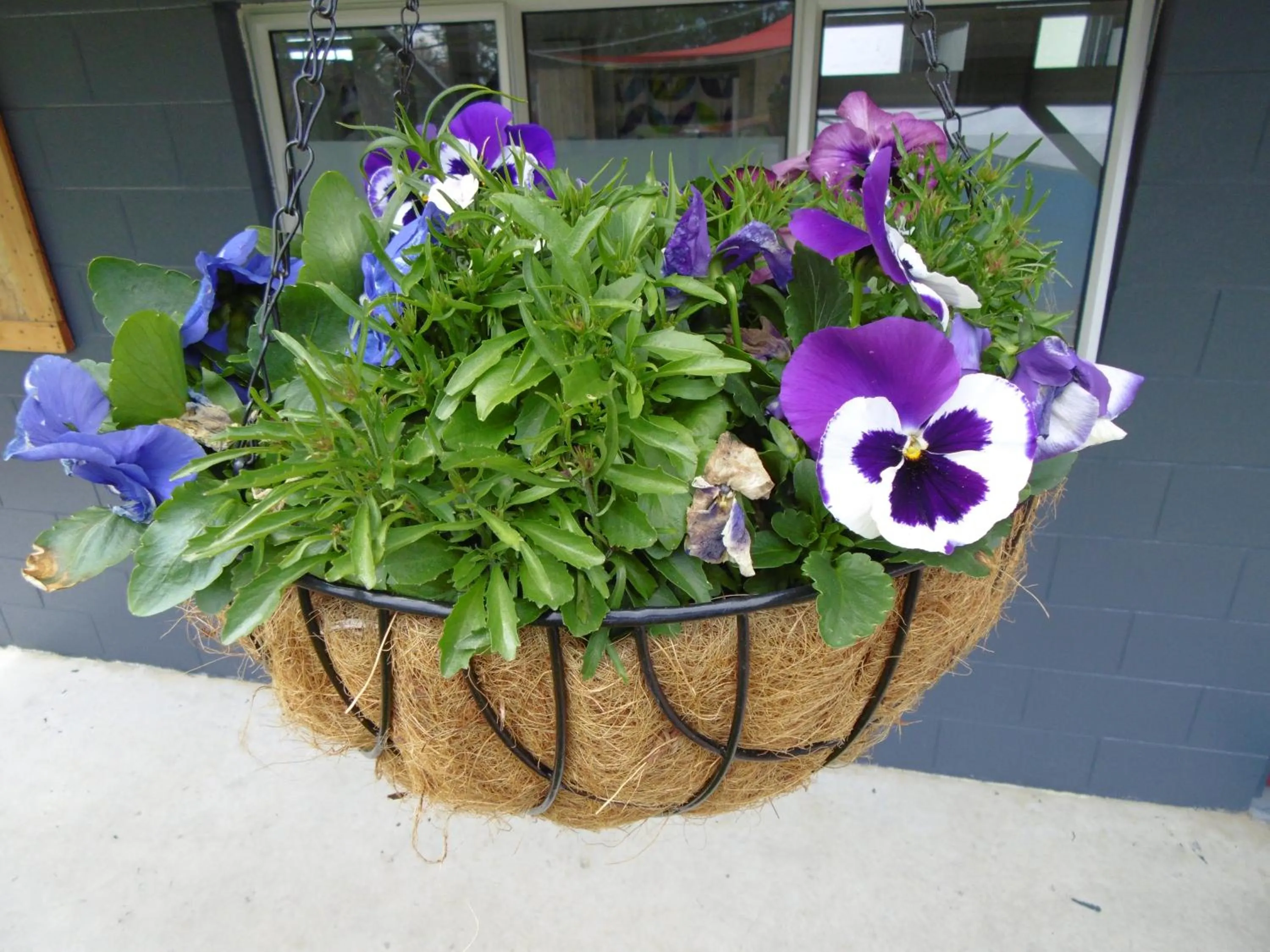 Decorative detail in Glenavys Waitaki River Motor Camp