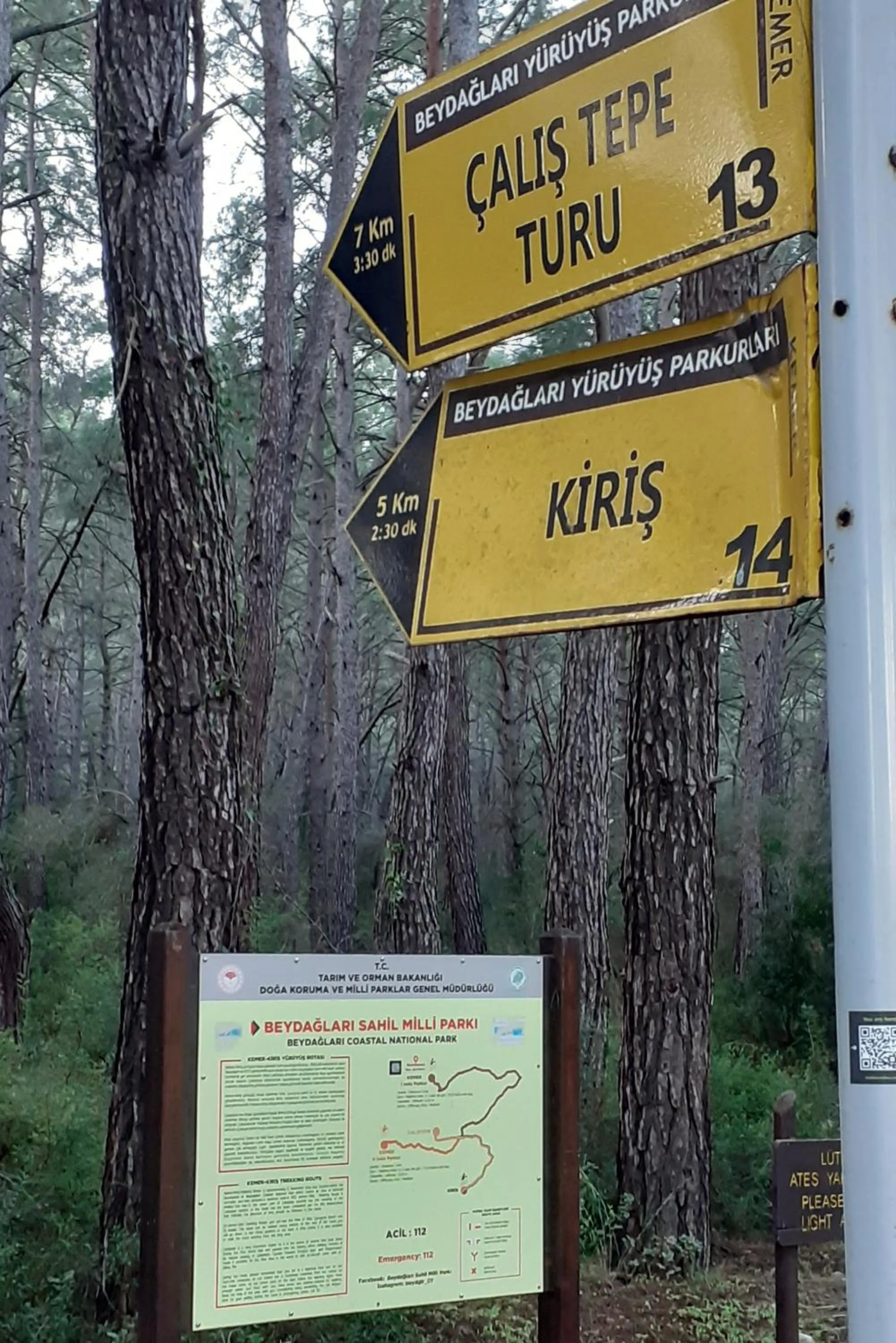 Natural landscape in HAVANA HOTEL