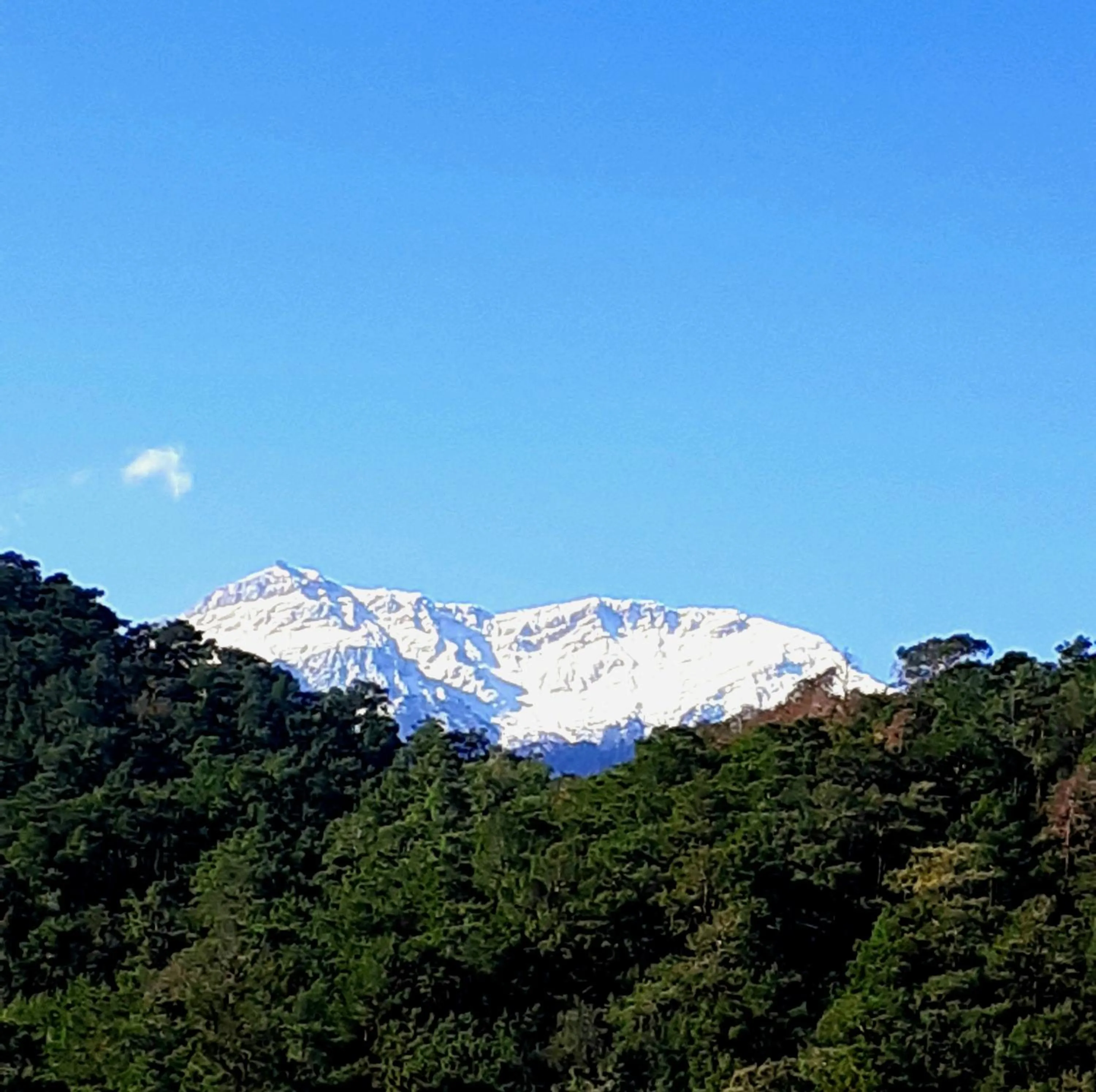 Natural landscape in HAVANA HOTEL