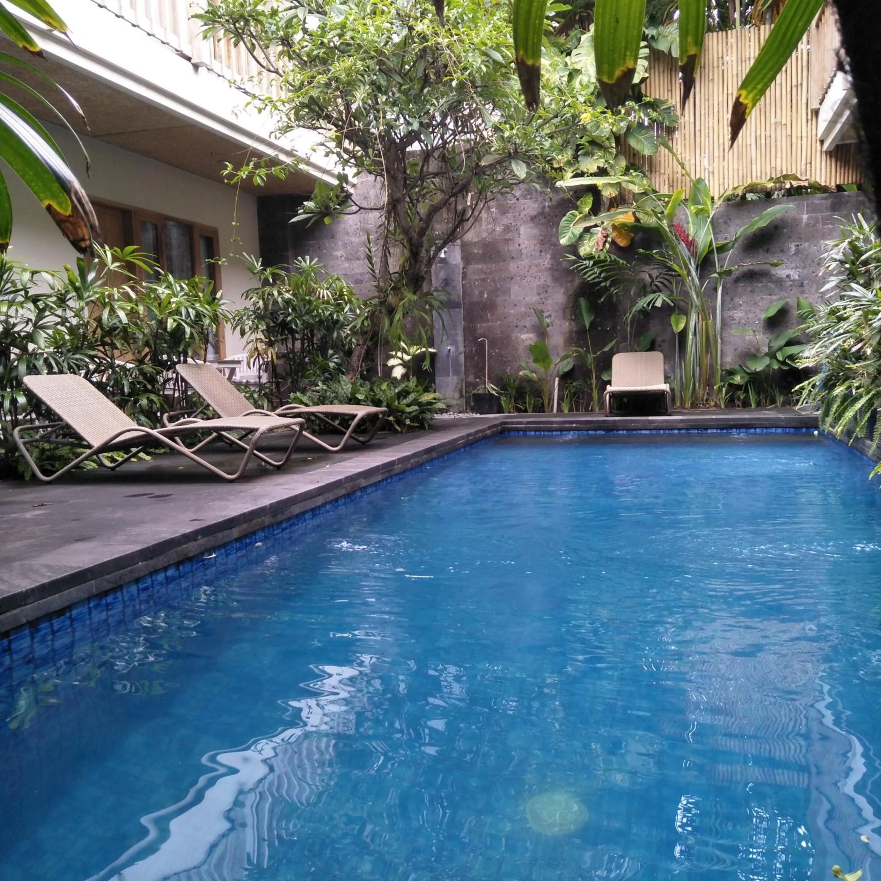 Swimming pool in Jukung Guest House