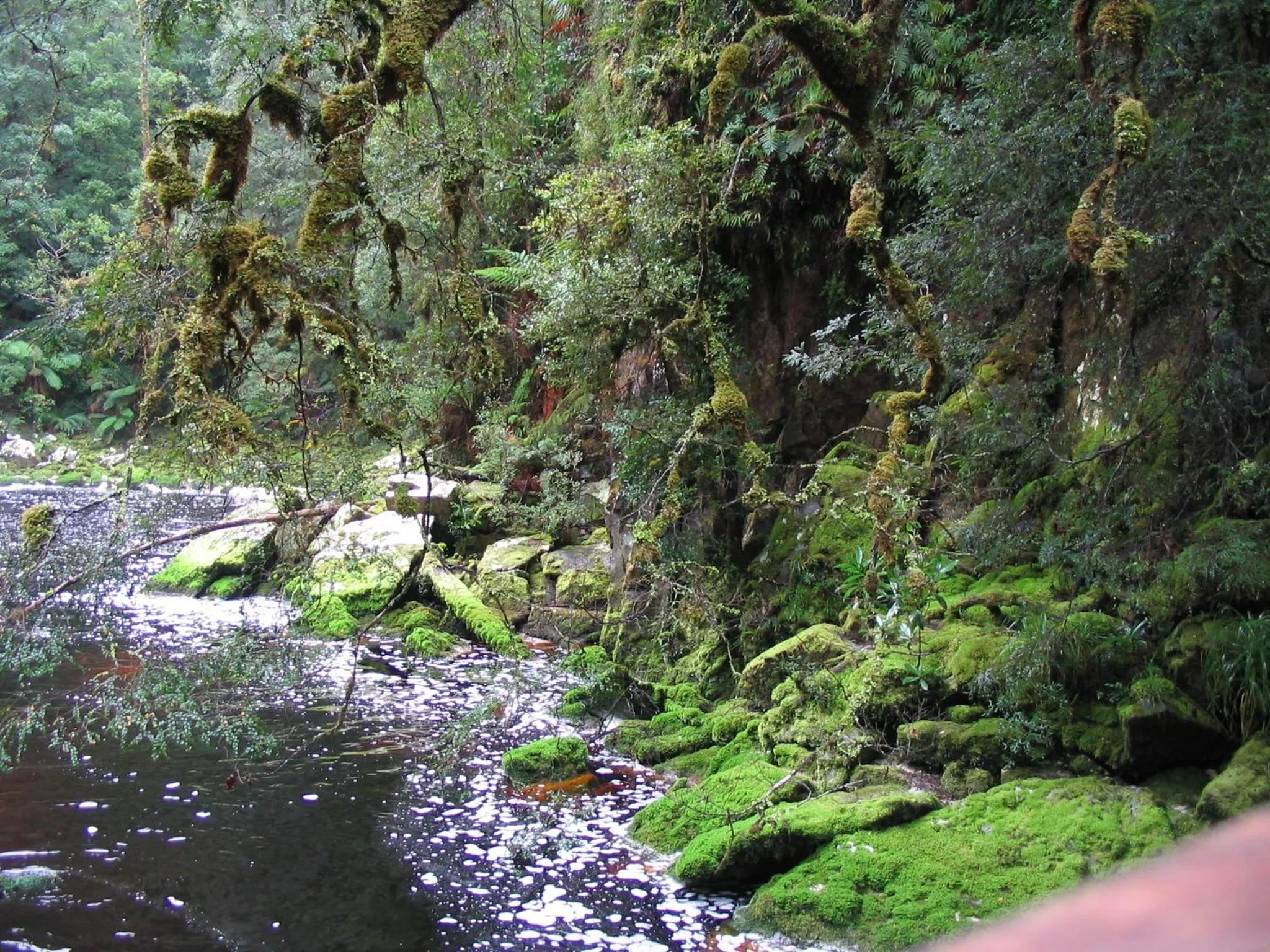Natural landscape in Strahan Bungalows