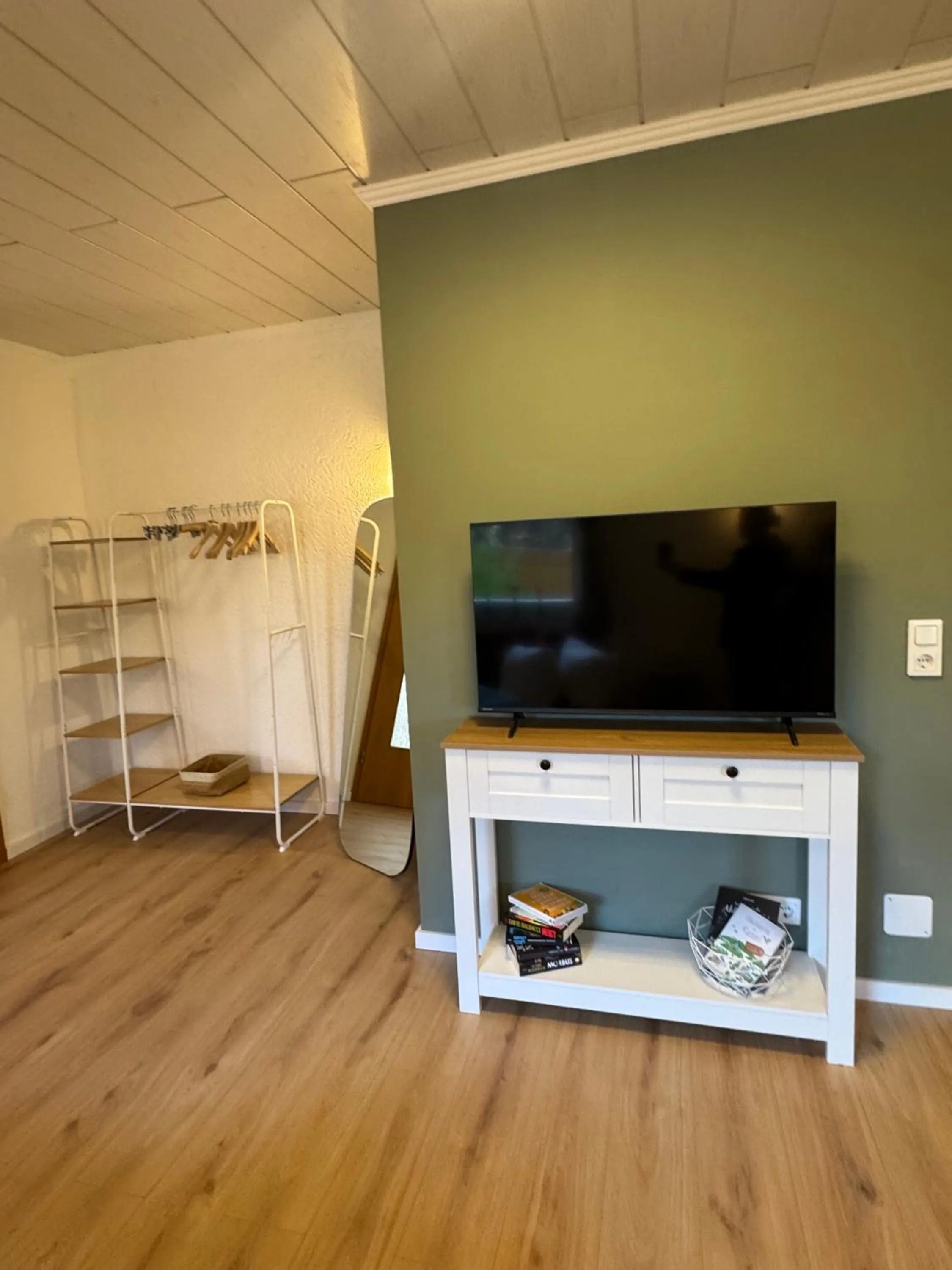 TV and multimedia in Pension und Apartment Landhaus Fricke