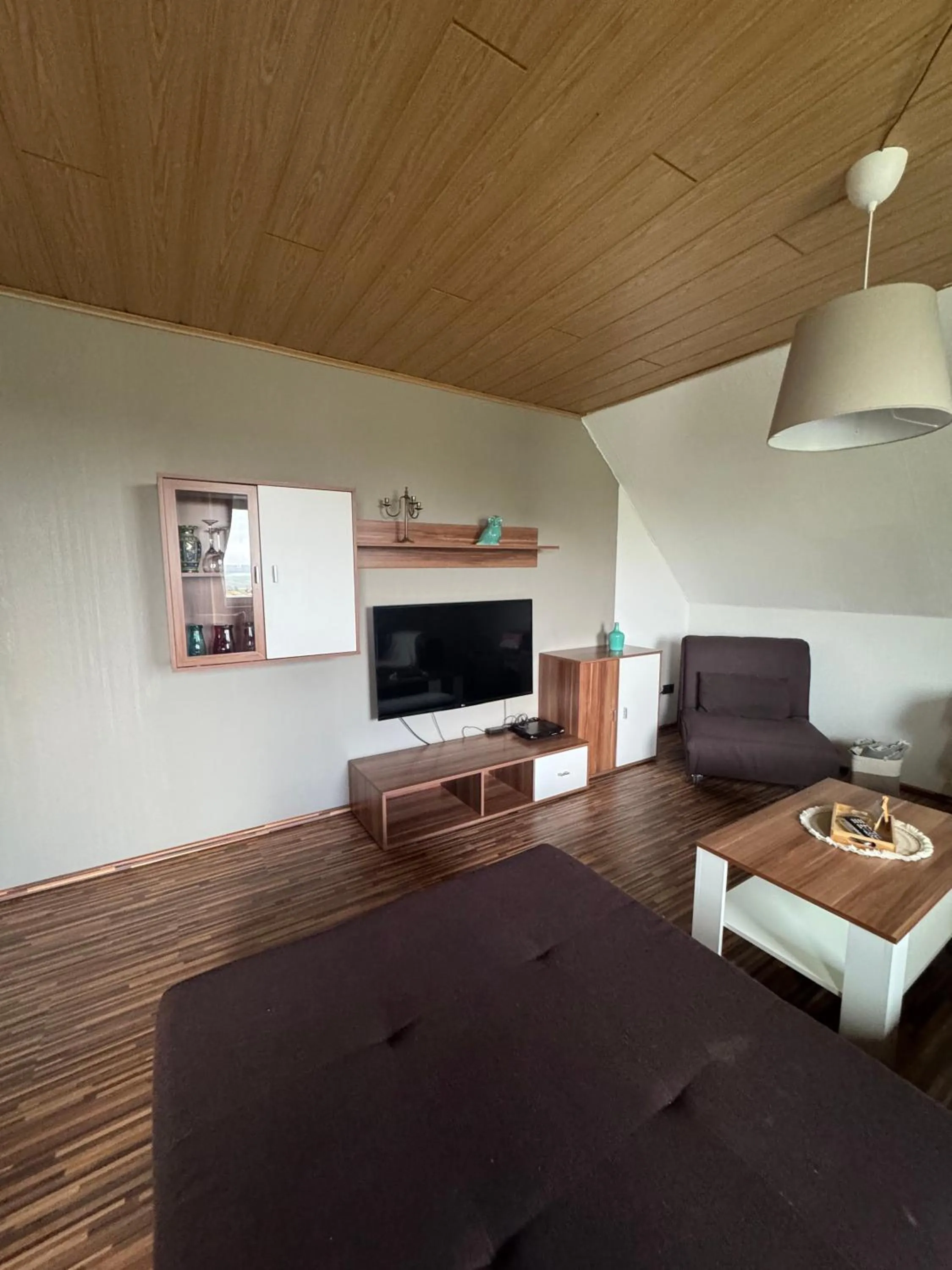 TV and multimedia in Pension und Apartment Landhaus Fricke