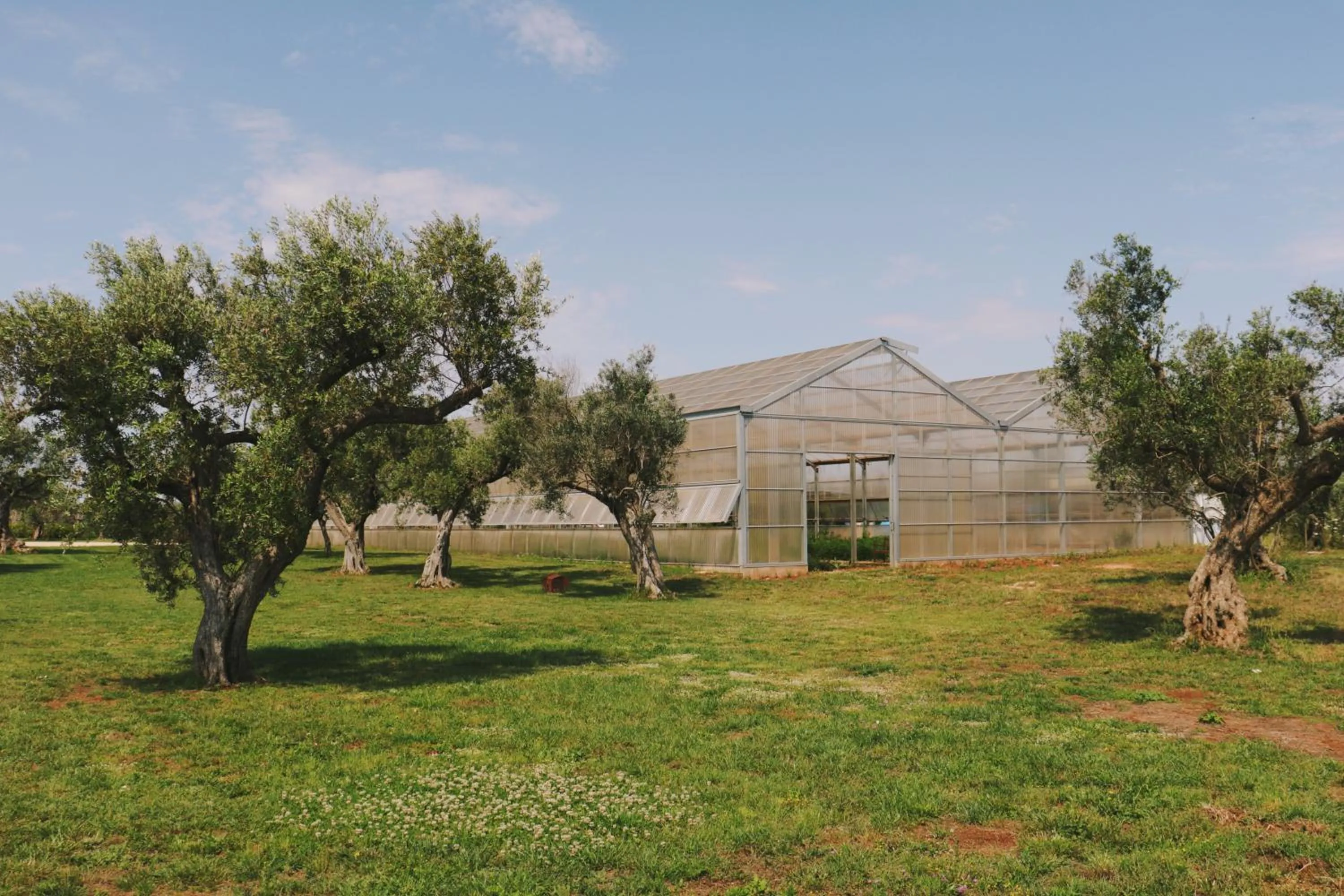 Nearby landmark in Secolario Masseria del Viverbene